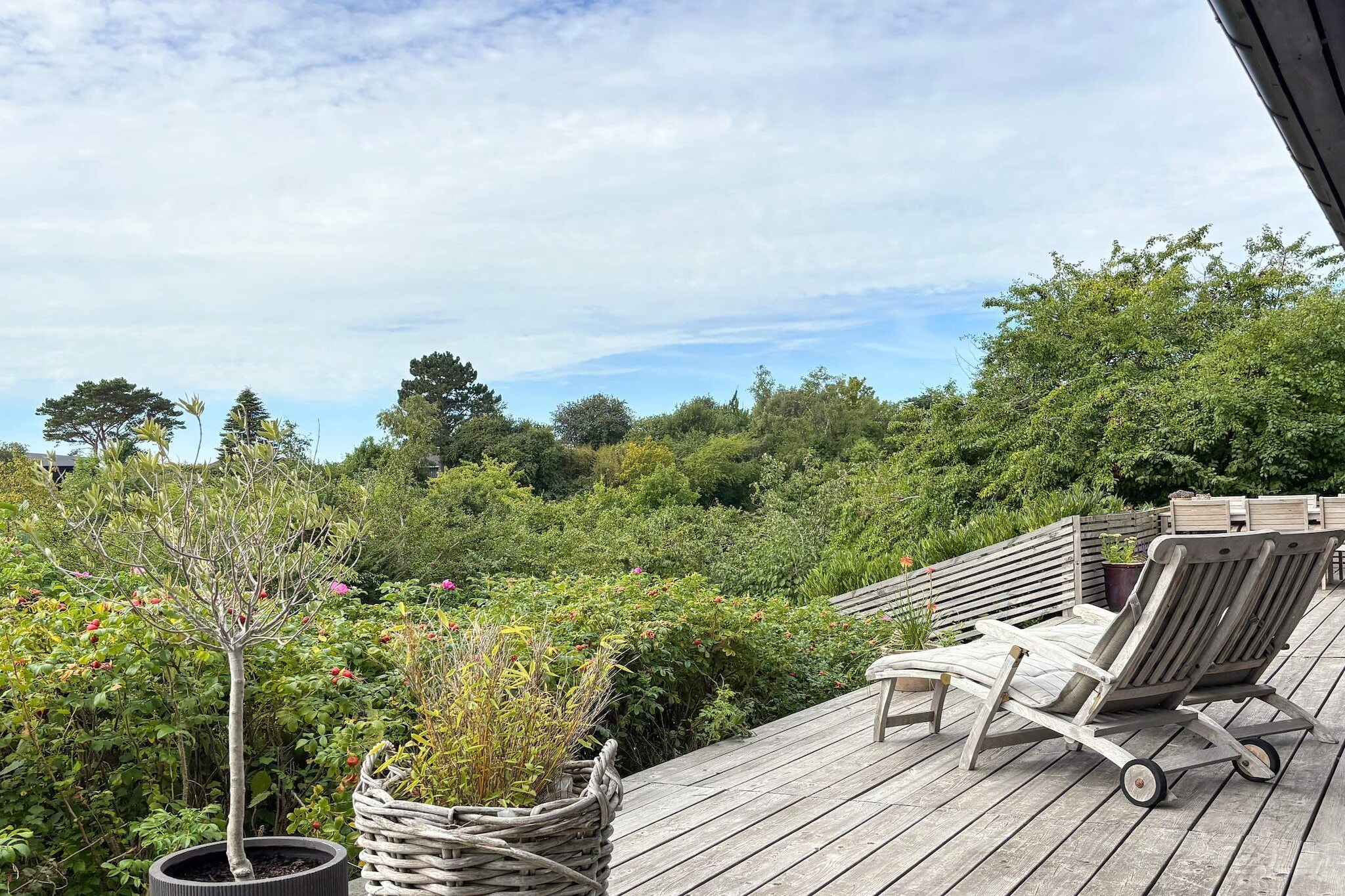 8 persoons vakantie huis in Ebeltoft-By Traum - Uitzicht