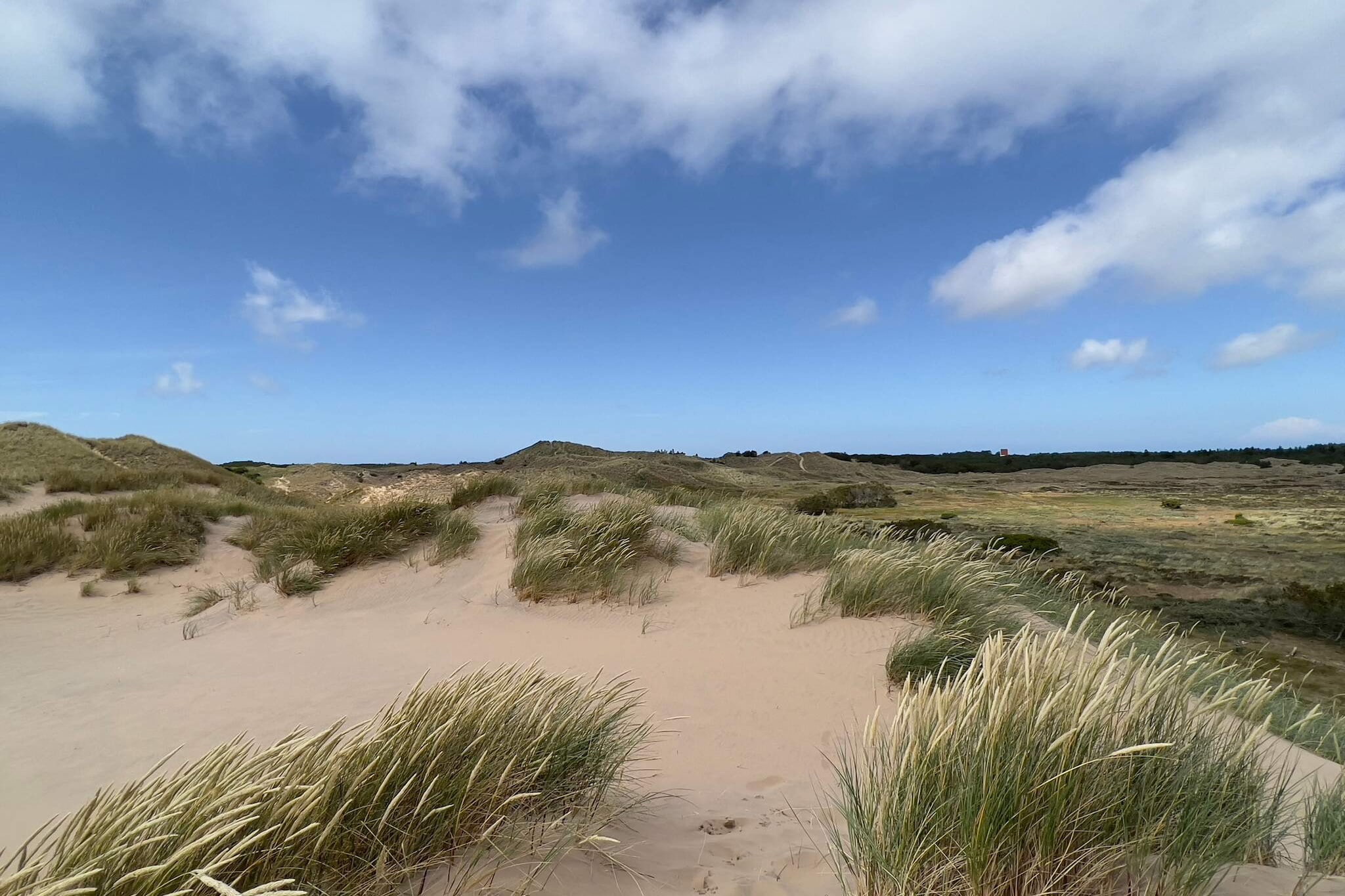 2 persoons vakantie huis in Skagen-By Traum-Waterzicht
