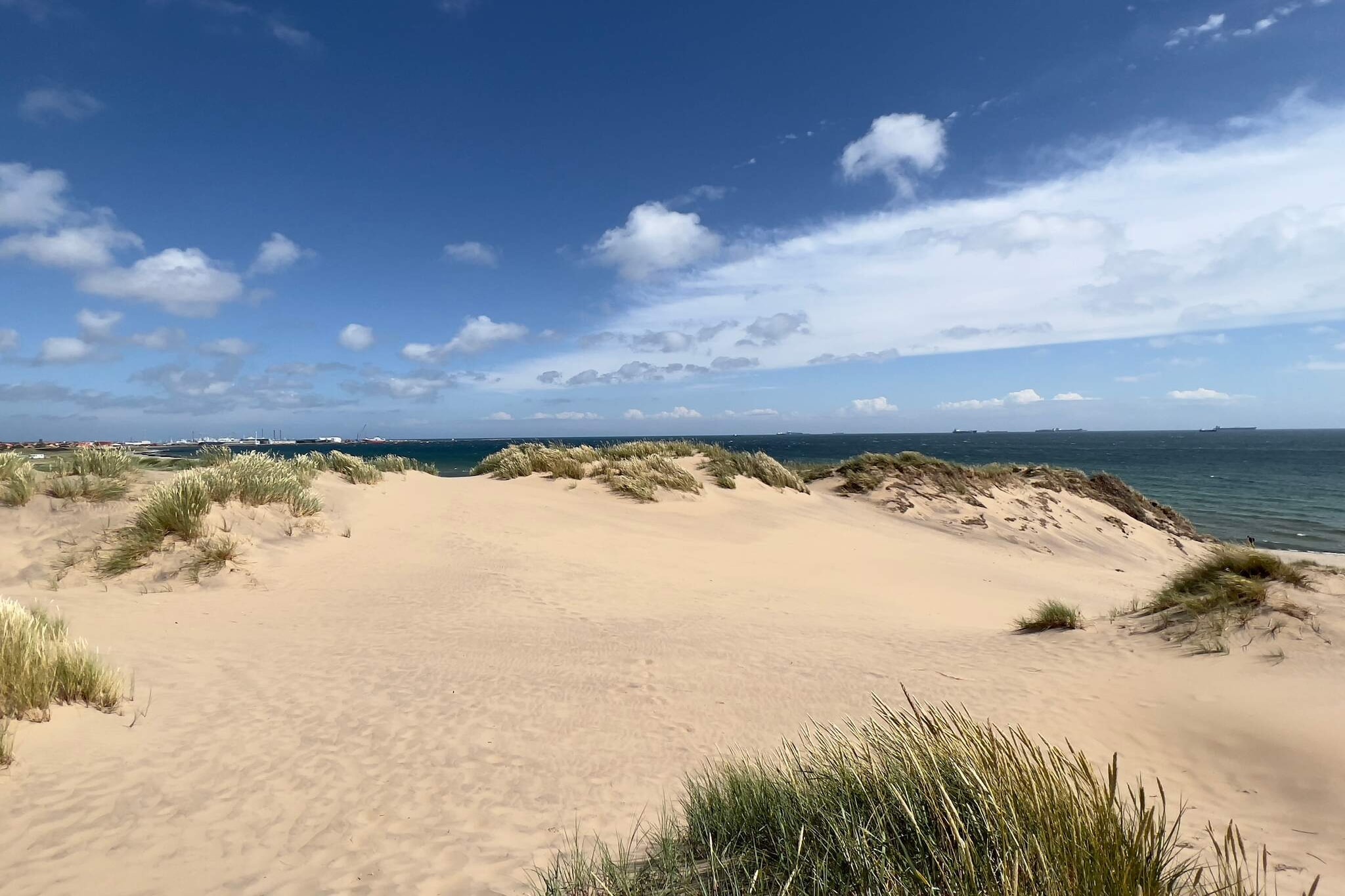 2 persoons vakantie huis in Skagen-By Traum - Waterzicht