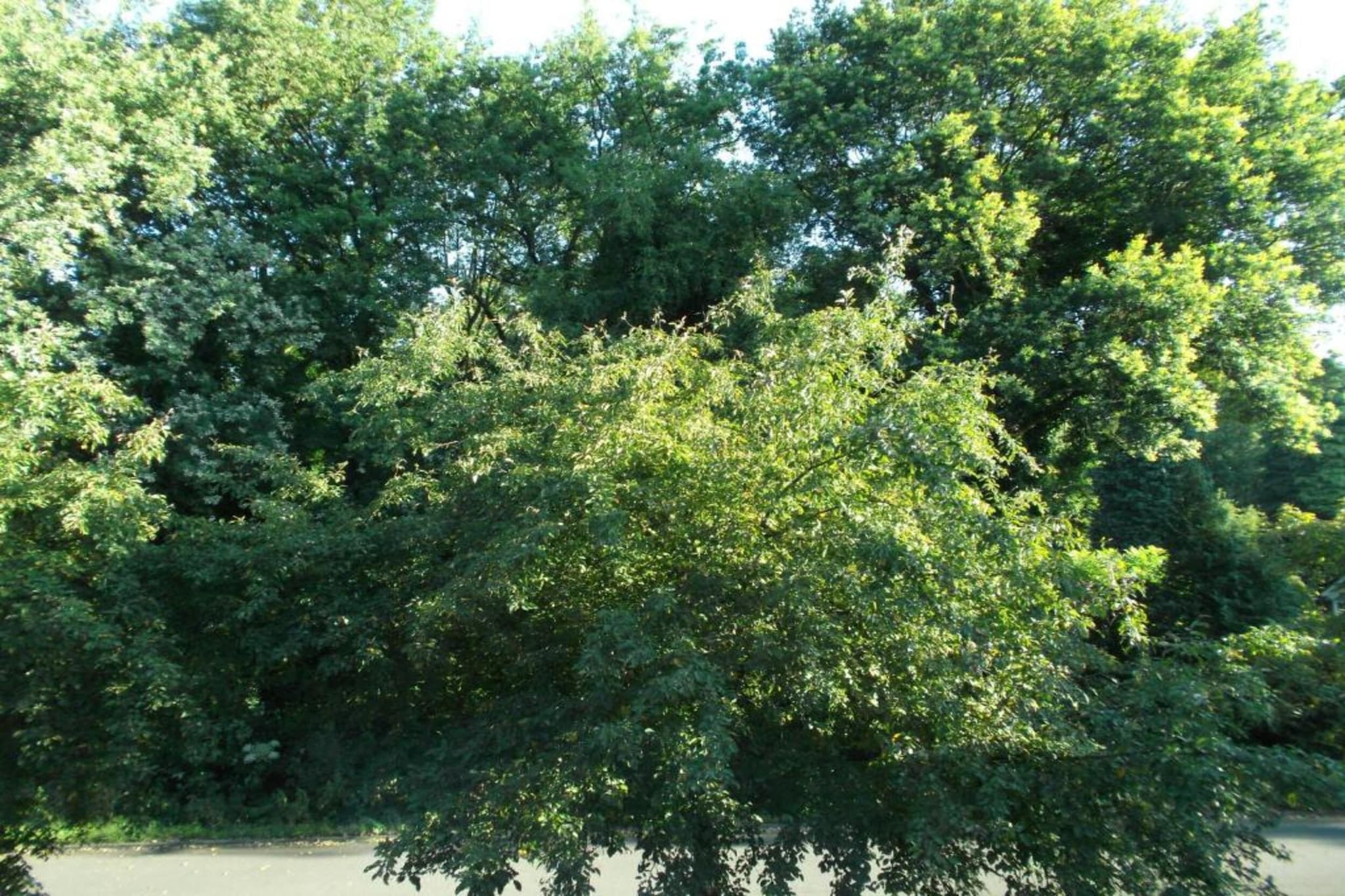 Vakantiepark Latour 1-Gebieden zomer 20km