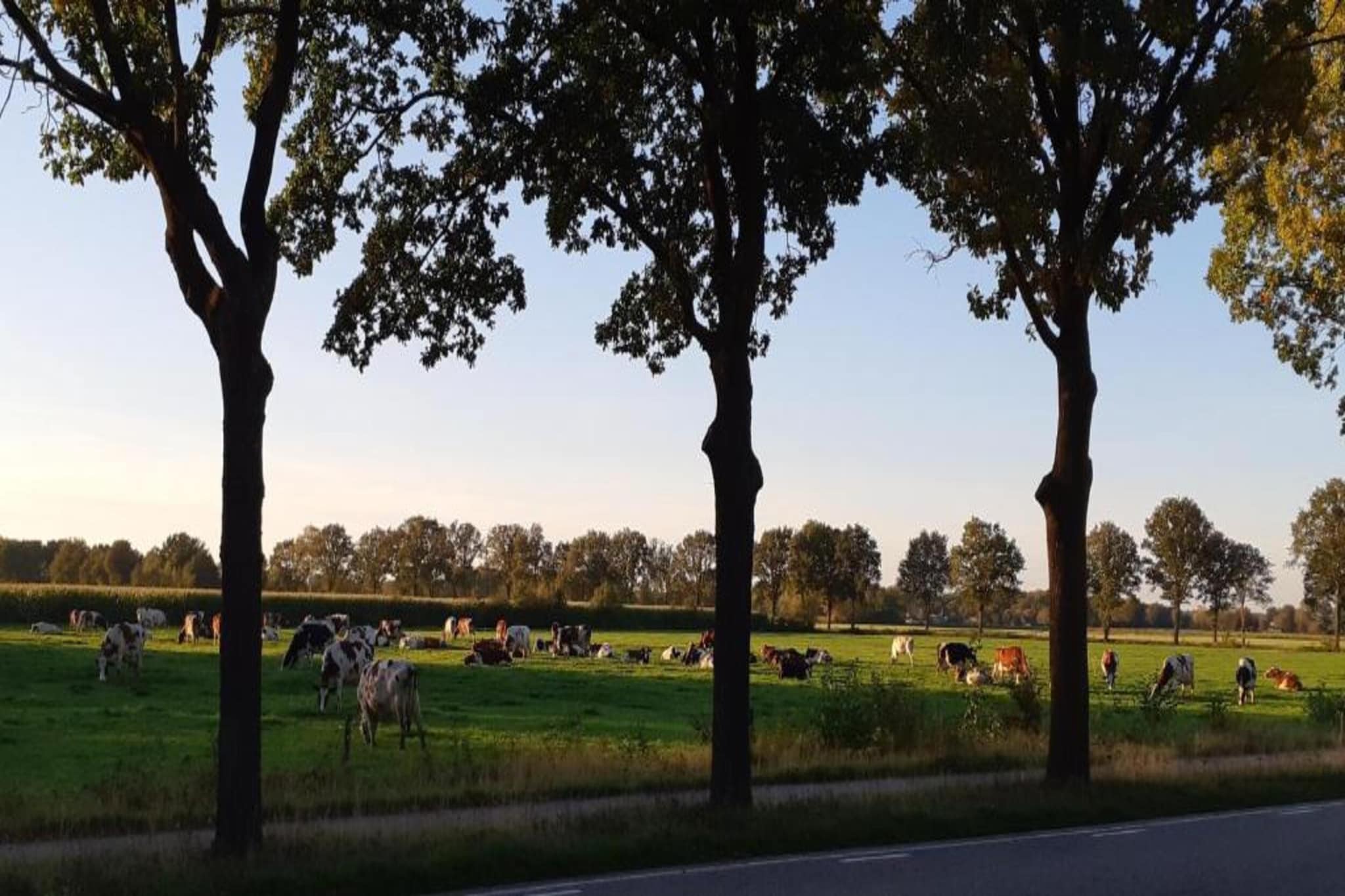 Vakantiepark Latour 1-Gebieden zomer 20km