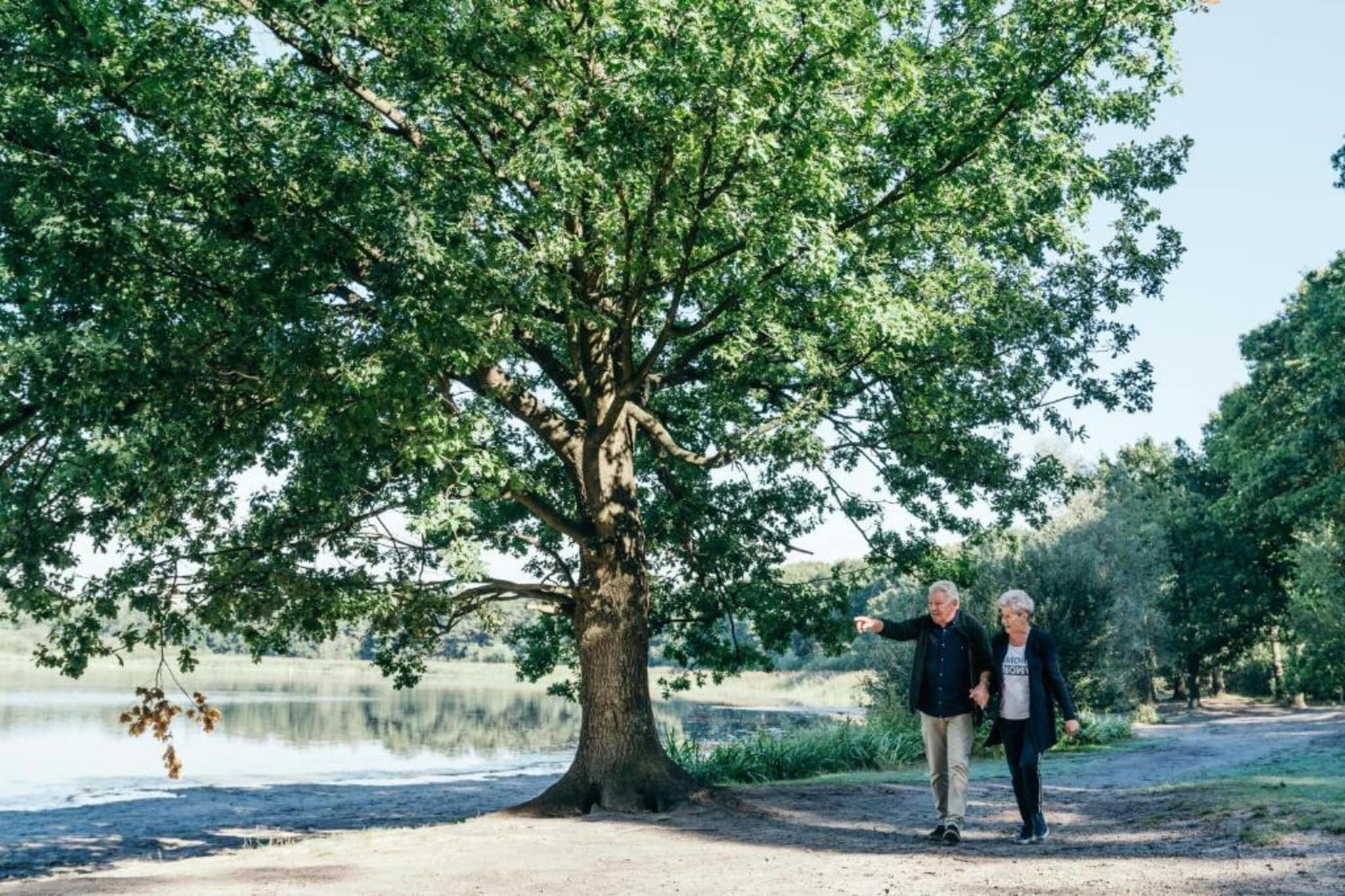 Vakantiepark Latour 1-Gebieden zomer 20km