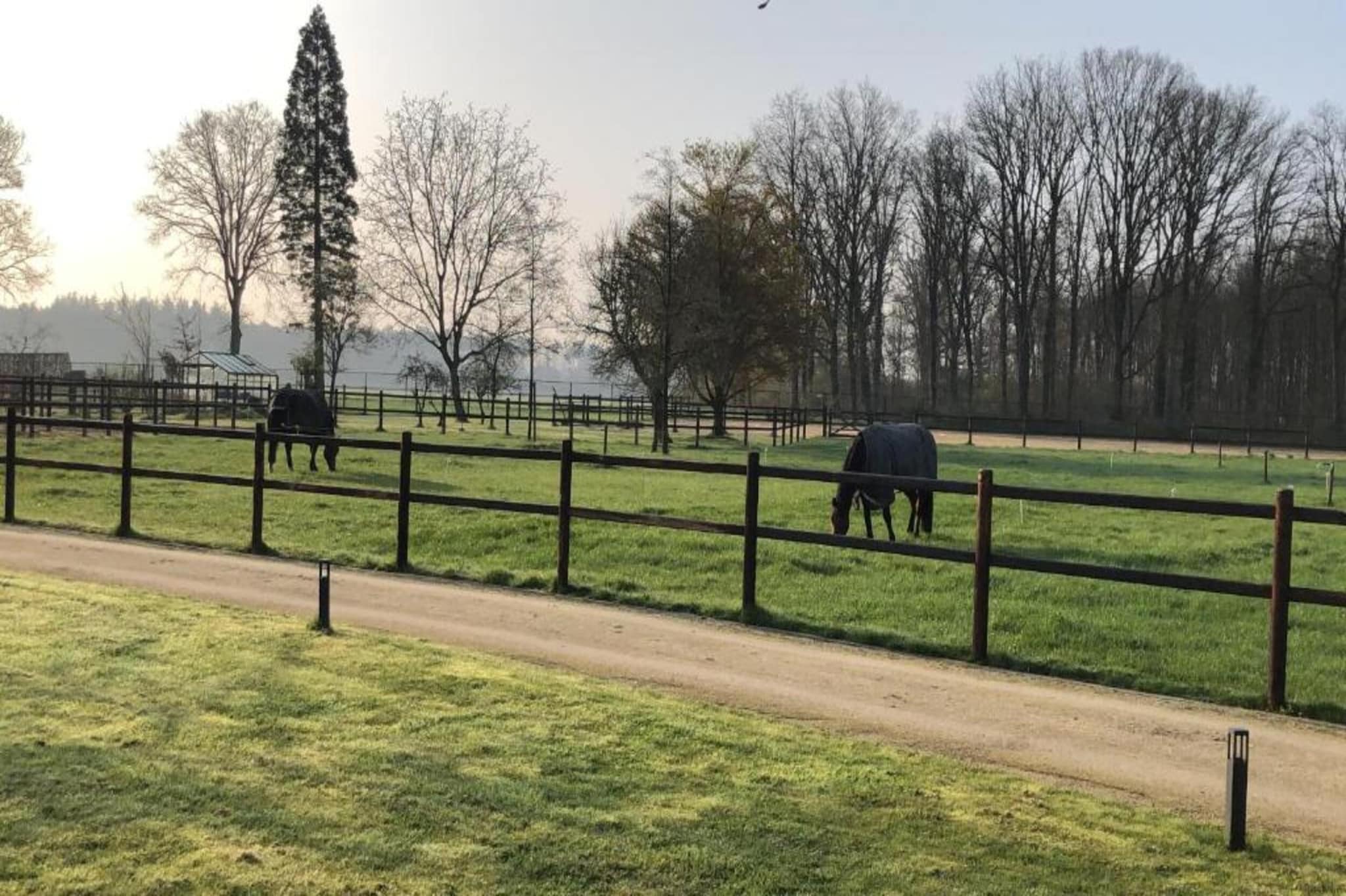 Vakantiepark Latour 1-Gebieden zomer 20km