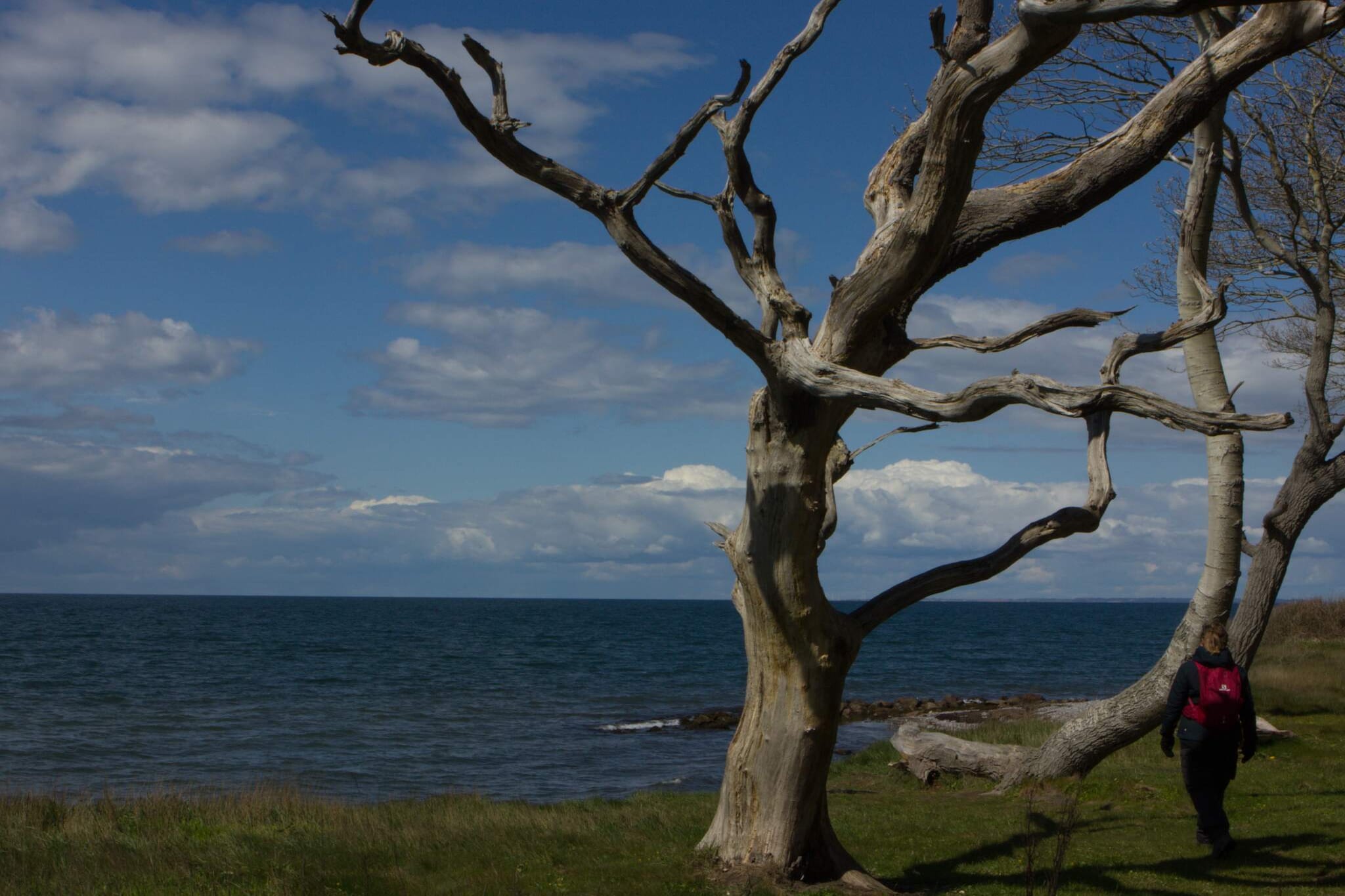 6 persoons vakantie huis in Bagenkop-By Traum-Waterzicht