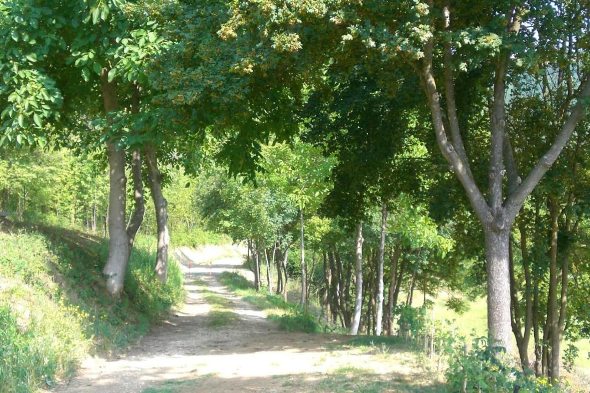 Ovello-Gebiete Sommer 20 km