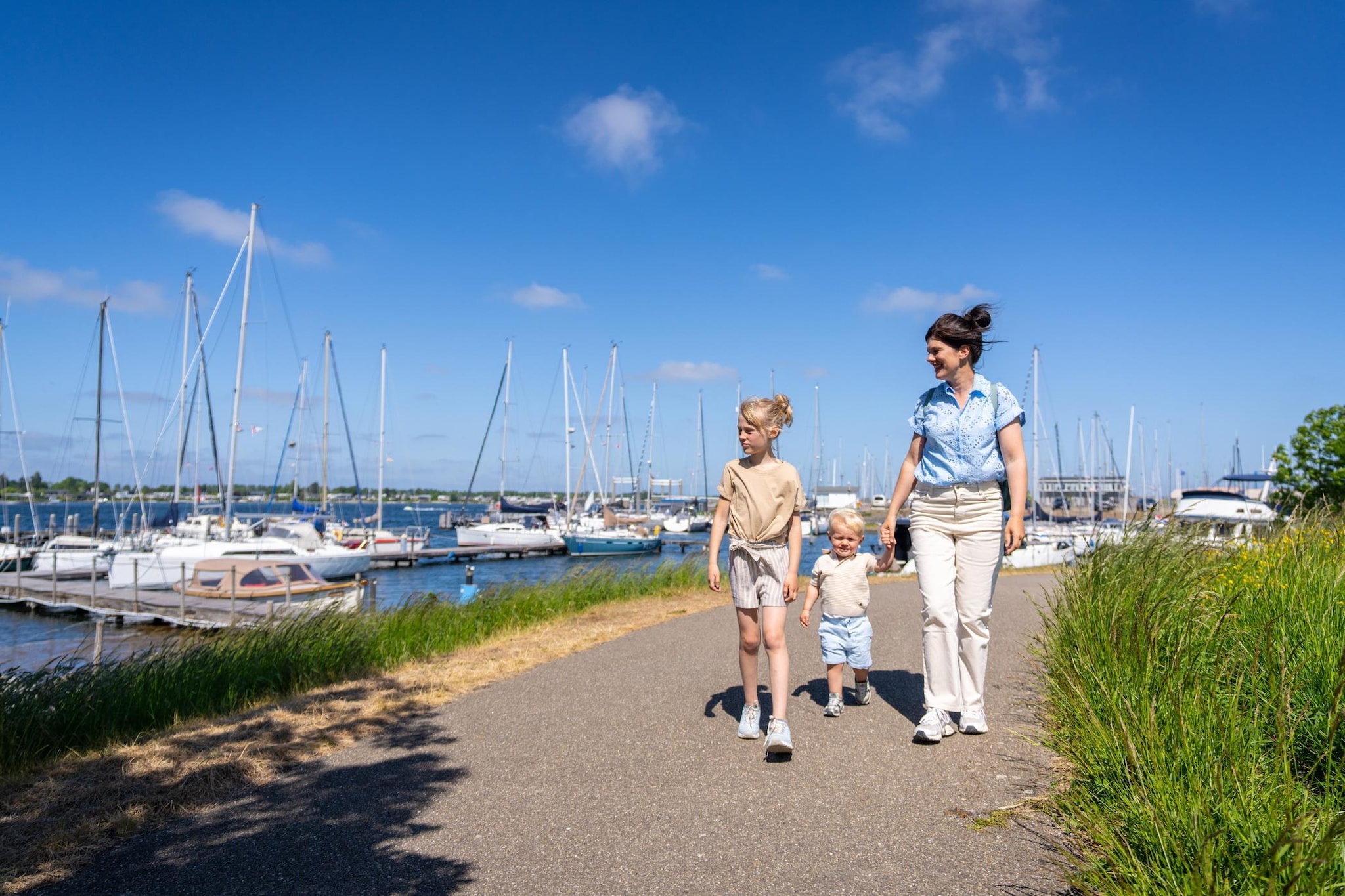 Park Veerse Kreek 4-Areas within 5km in summer