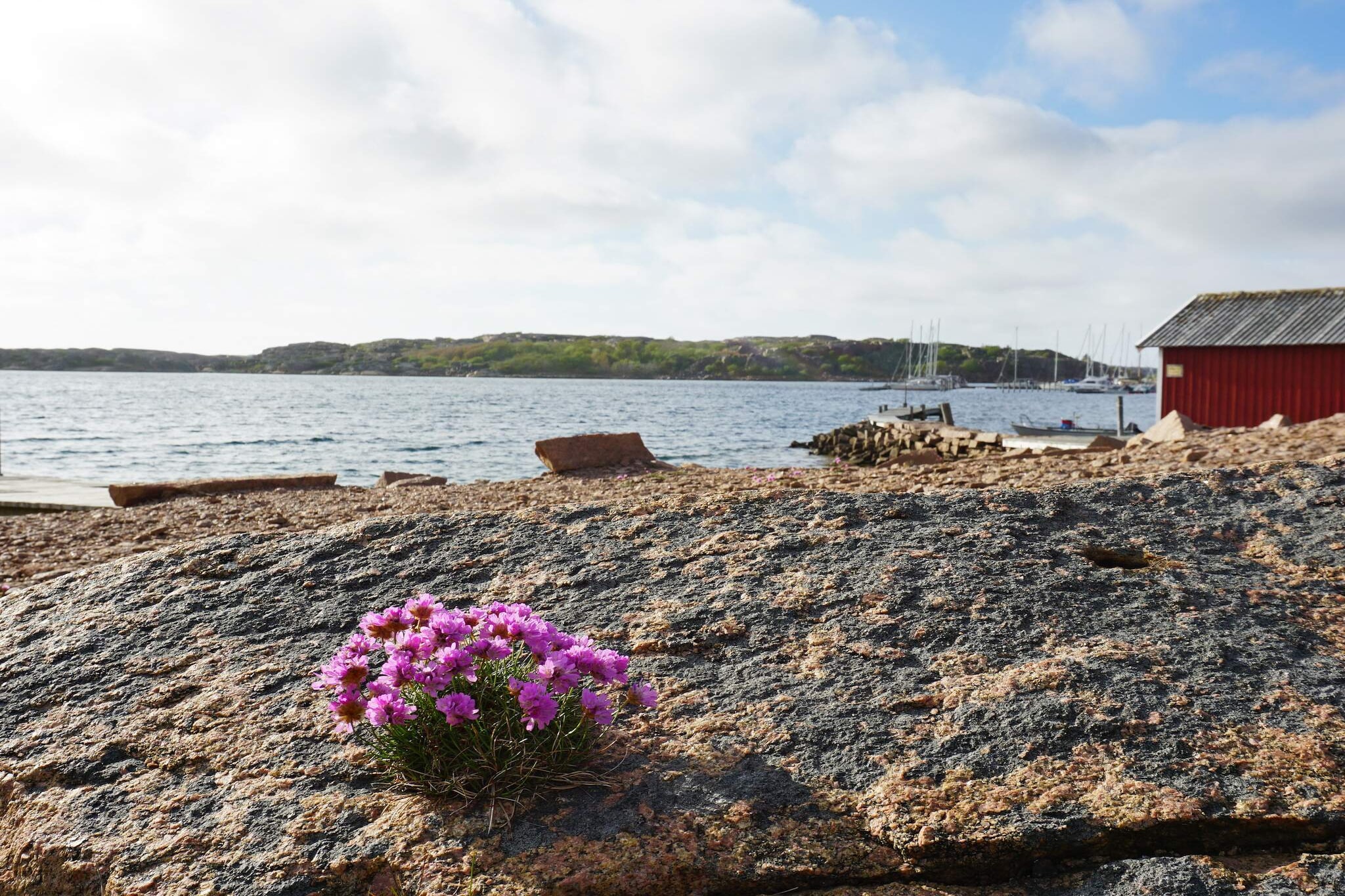 4 persoons vakantie huis in Bovallstrand-By Traum - Uitzicht