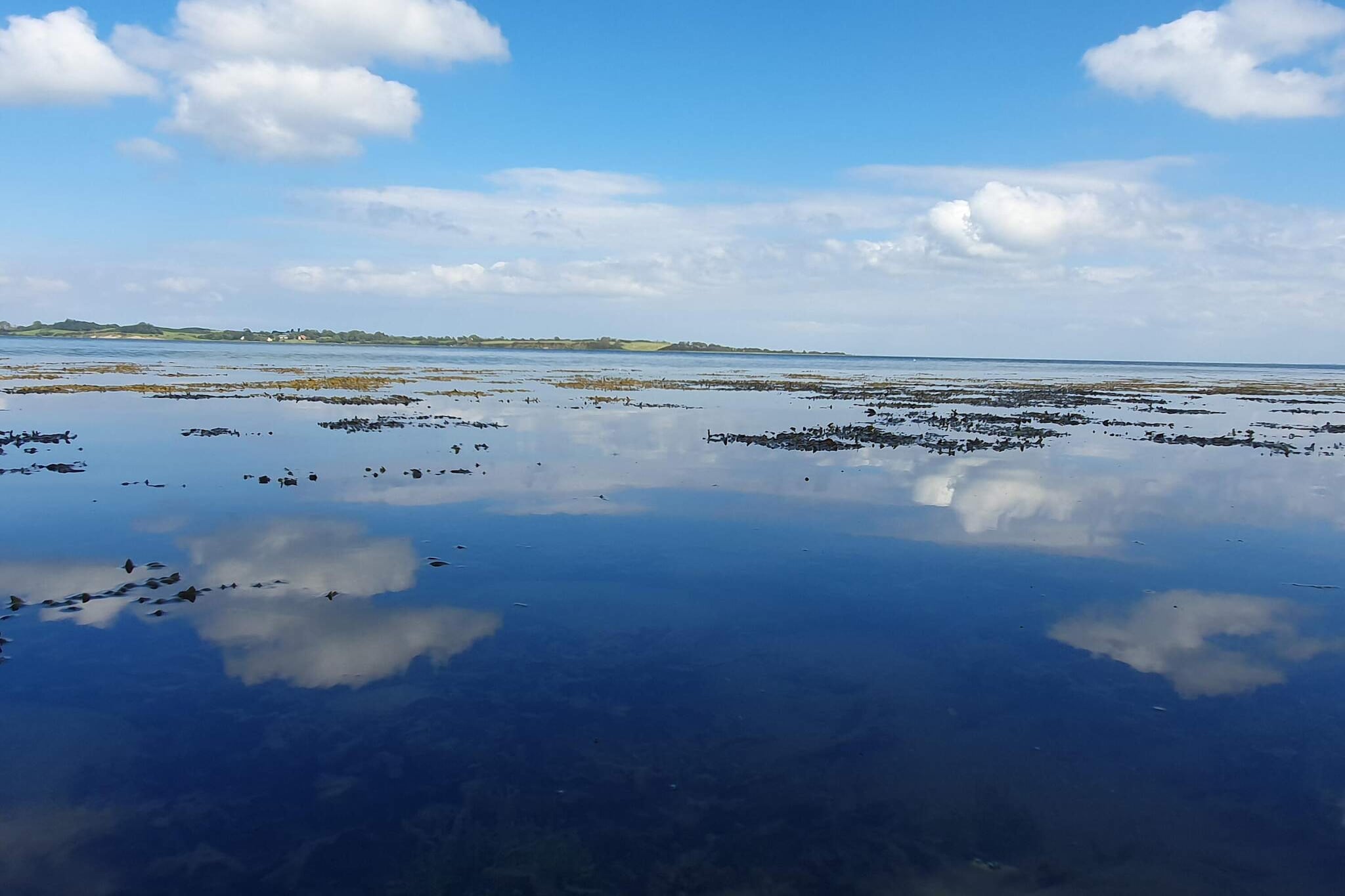 Maison de vacances pour 5 a Aabenraa-By Traum-Vue sur l'eau