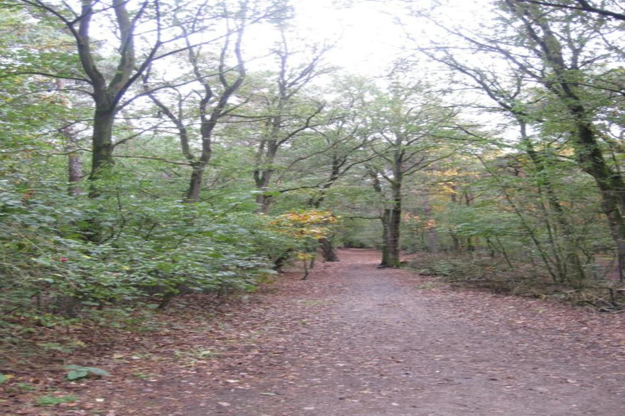 Park De Peel 5-Gebieden zomer 20km