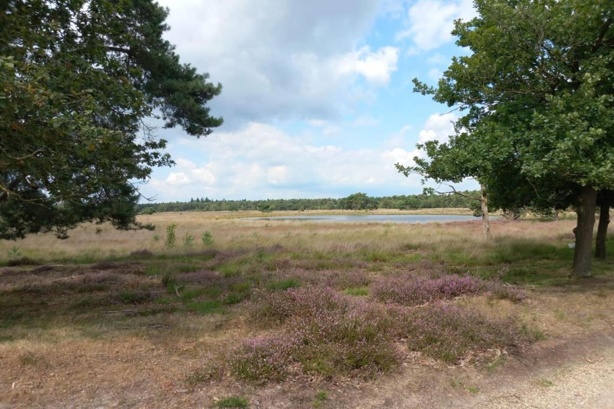 Park De Peel 5-Gebieden zomer 20km