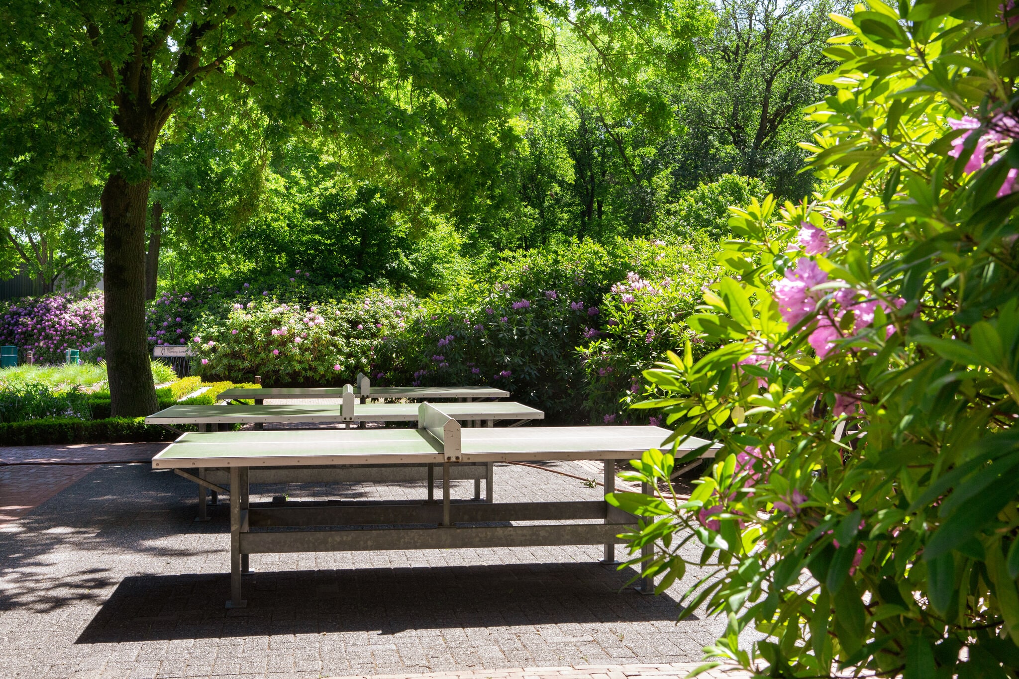 Lodge agréable avec une jolie terrasse situé dans un parc de vacances en Brabant