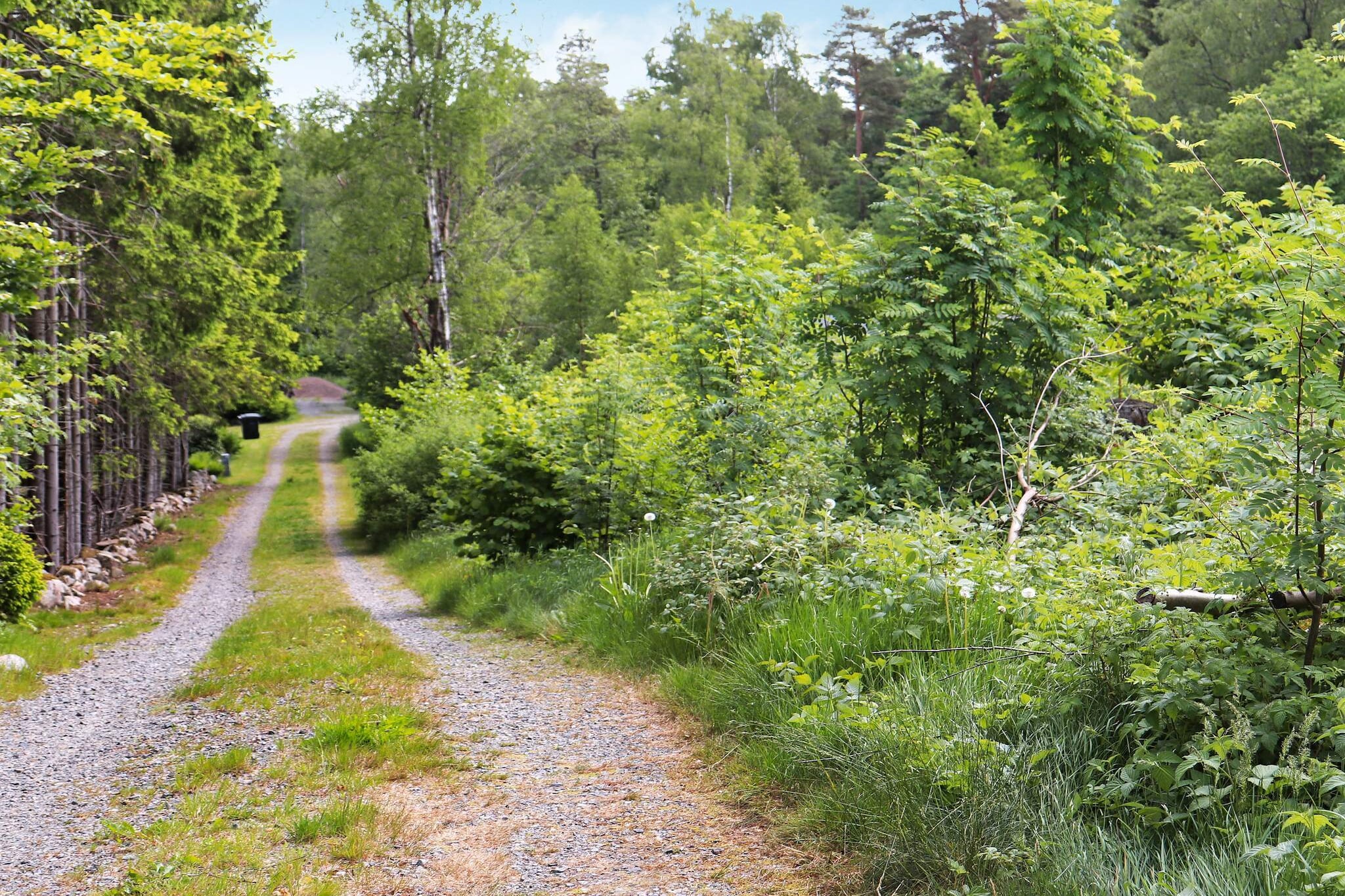 4 person holiday home in Åsljunga-By Traum - Outdoor