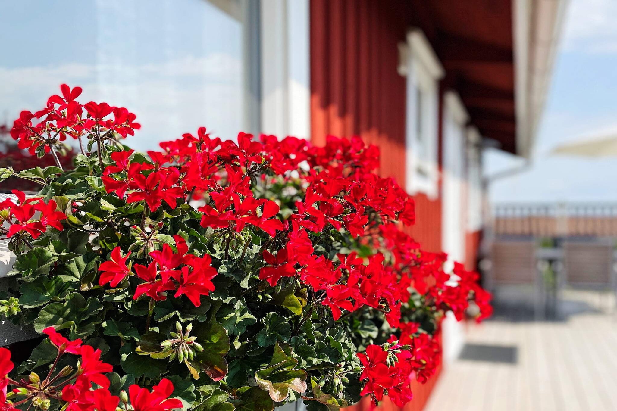 4 persoons vakantie huis in ONSALA-By Traum - Buitenlucht