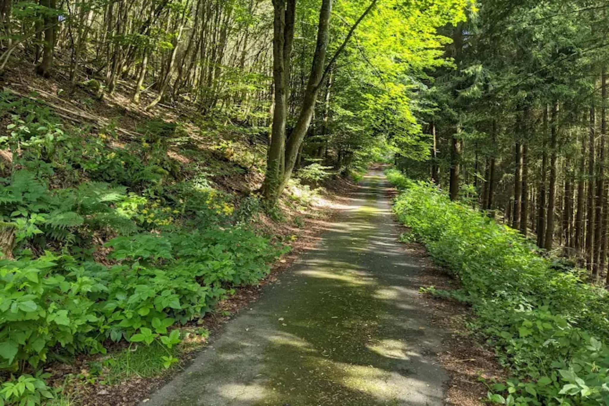Neuastenberger Straße 4 - Neuastenberg-Gebieden zomer 5km