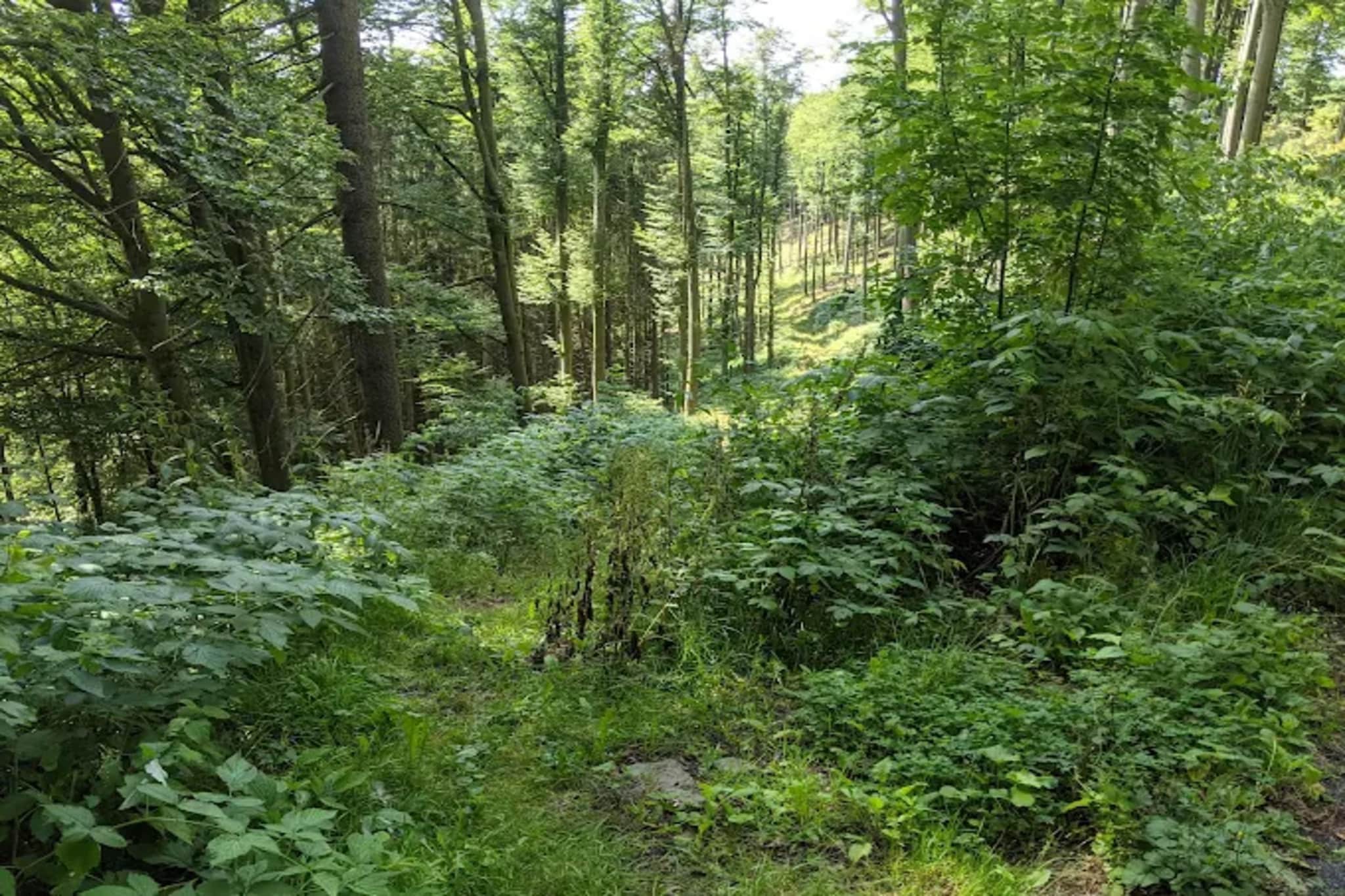 Neuastenberger Straße 4 - Neuastenberg-Gebieden zomer 5km