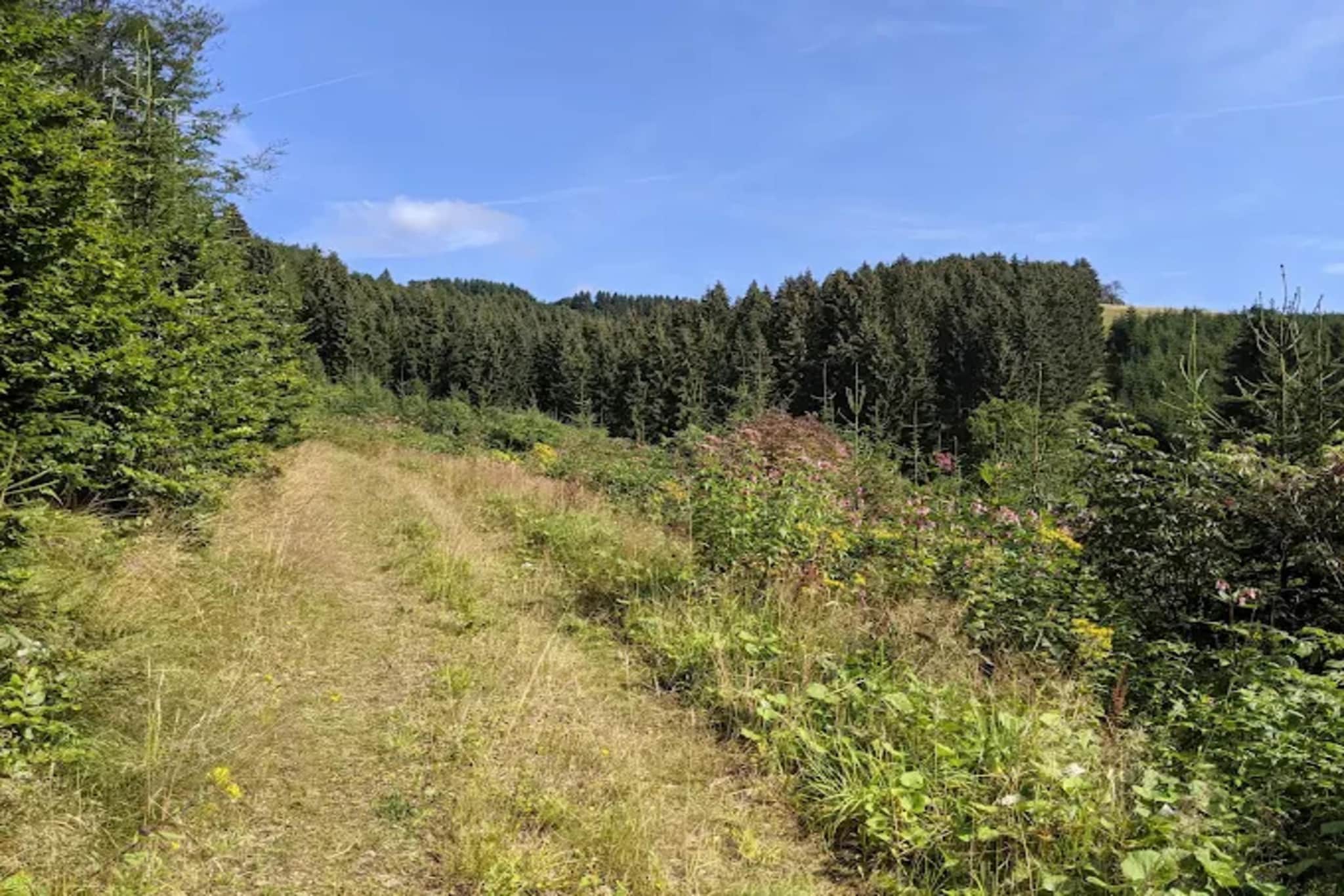 Neuastenberger Straße 4 - Neuastenberg-Gebieden zomer 5km