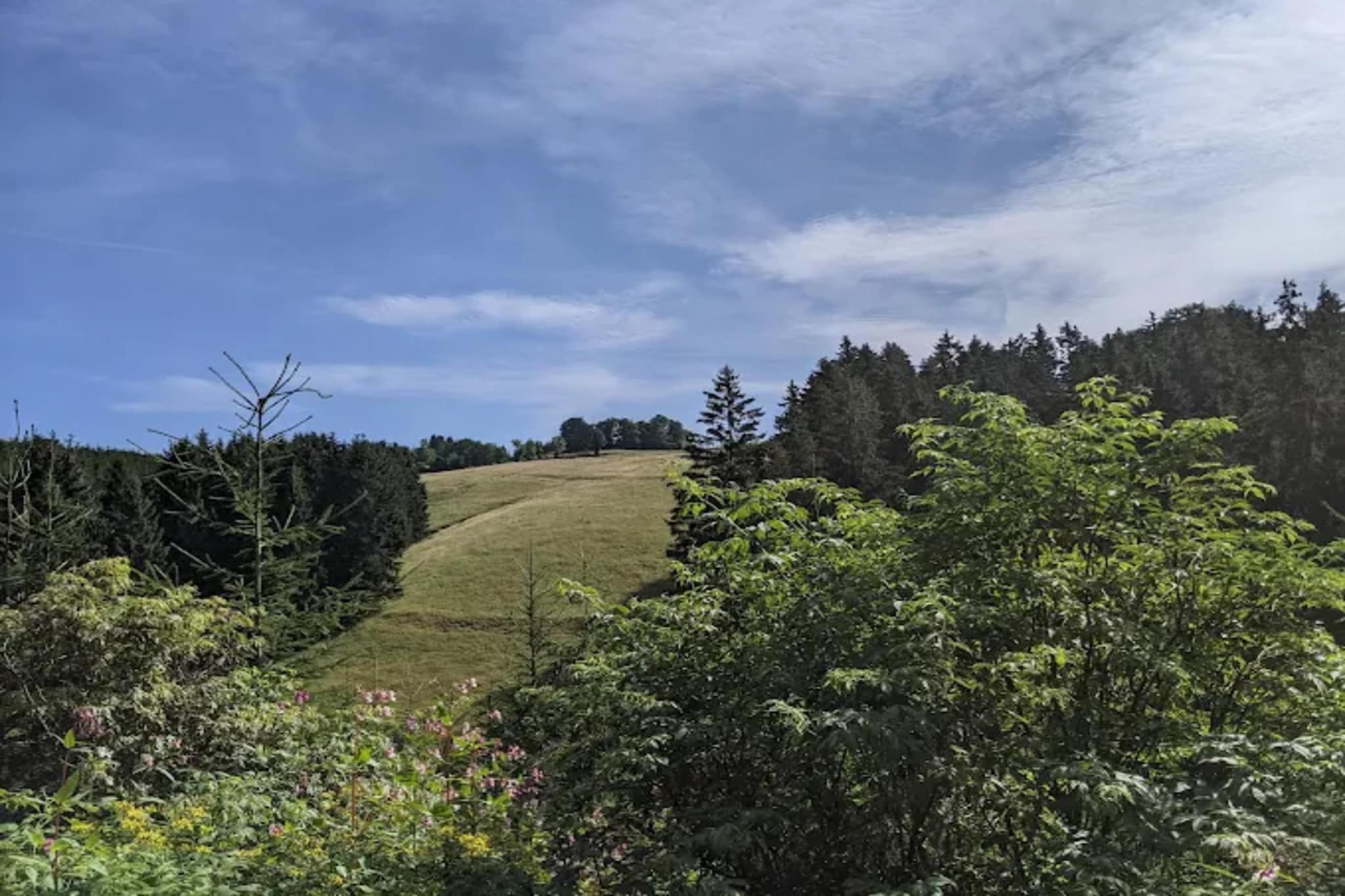 Neuastenberger Straße 4 - Neuastenberg-Gebieden zomer 5km