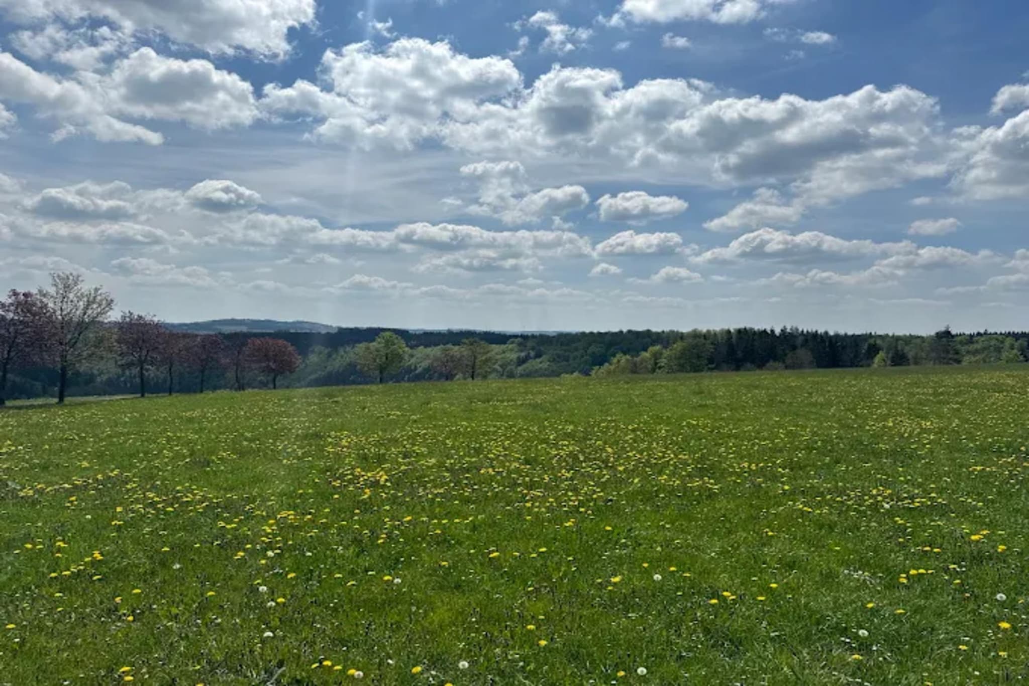Neuastenberger Straße 4 - Neuastenberg-Gebieden zomer 5km