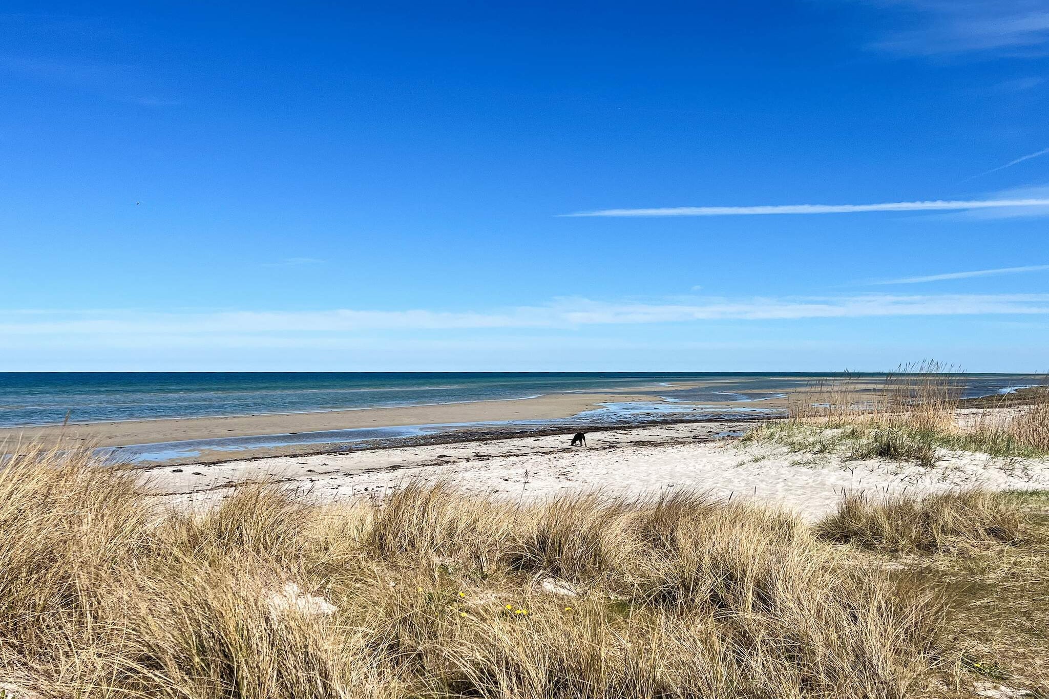 Strandhuisje met aanbouw - Uitzicht