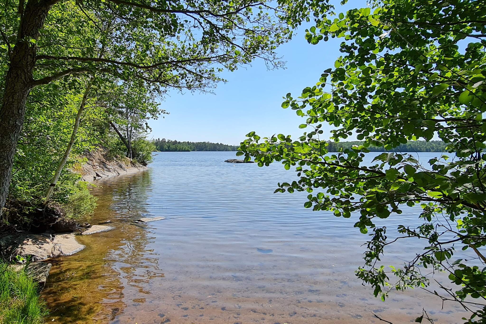 Water View
