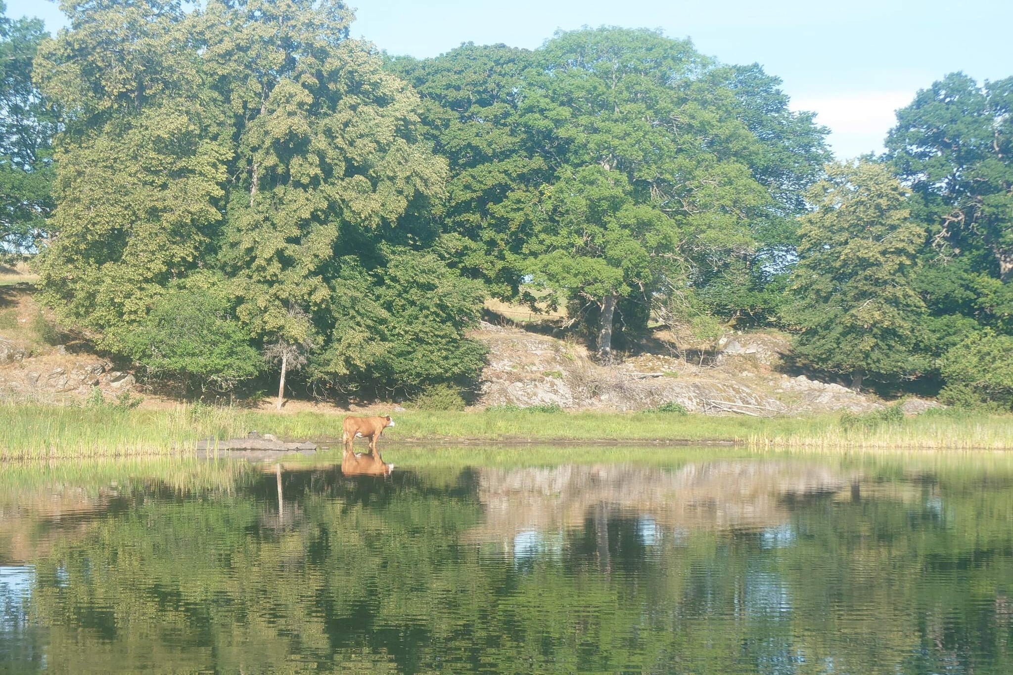Water View