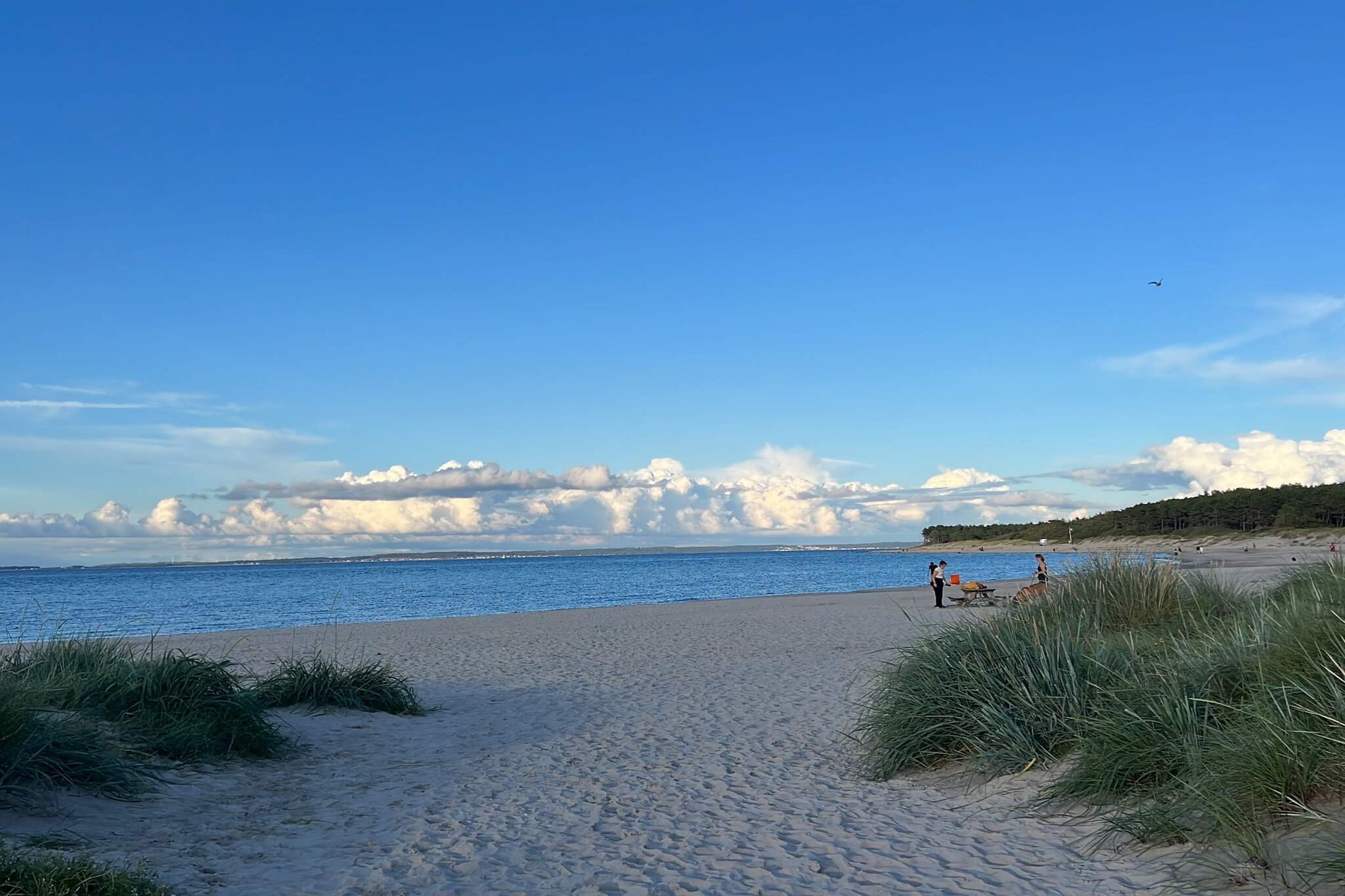 8 persoons vakantie huis in Hornbæk-By Traum-Waterzicht