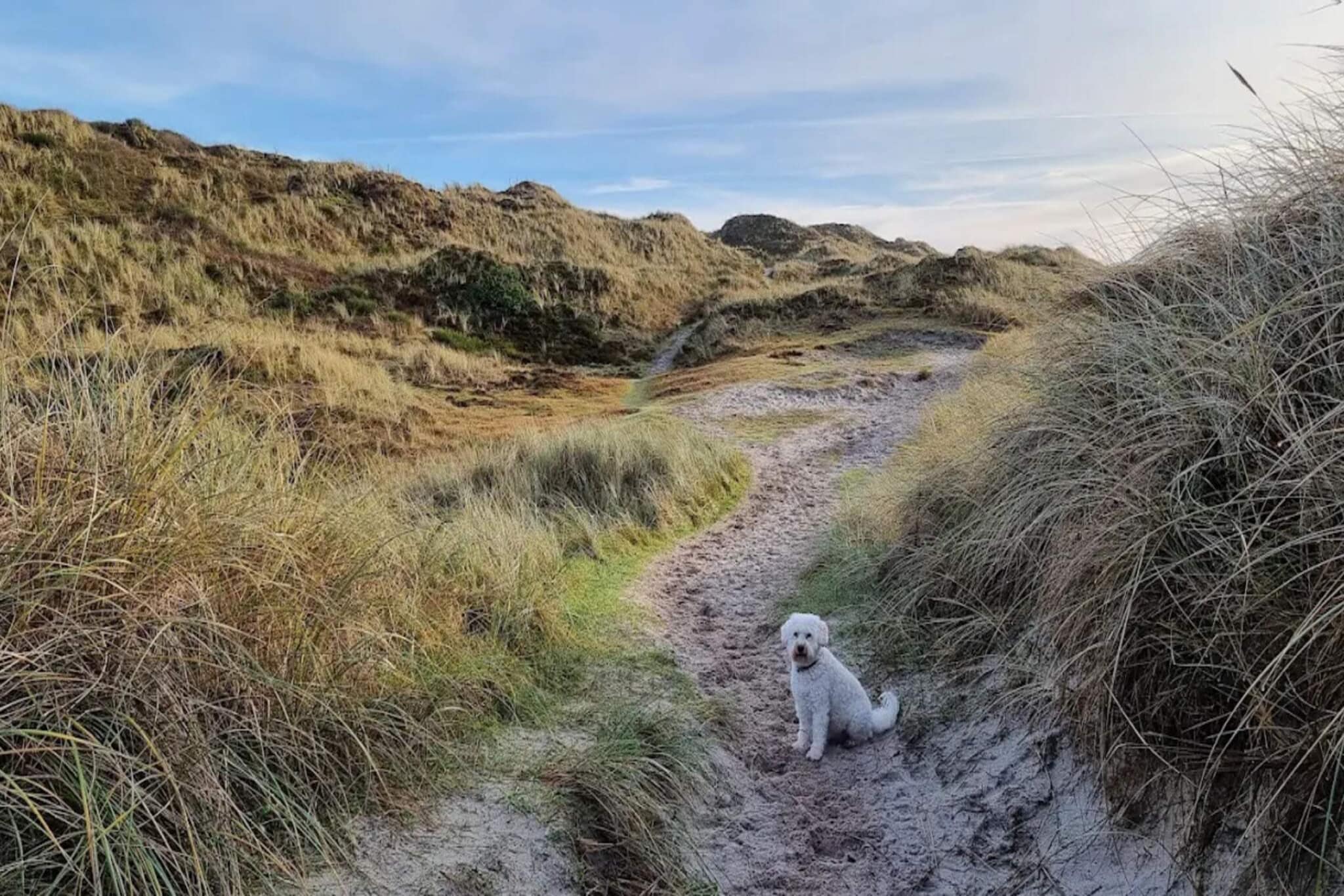 6 persoons vakantie huis in Henne-By Traum-Niet-getagd