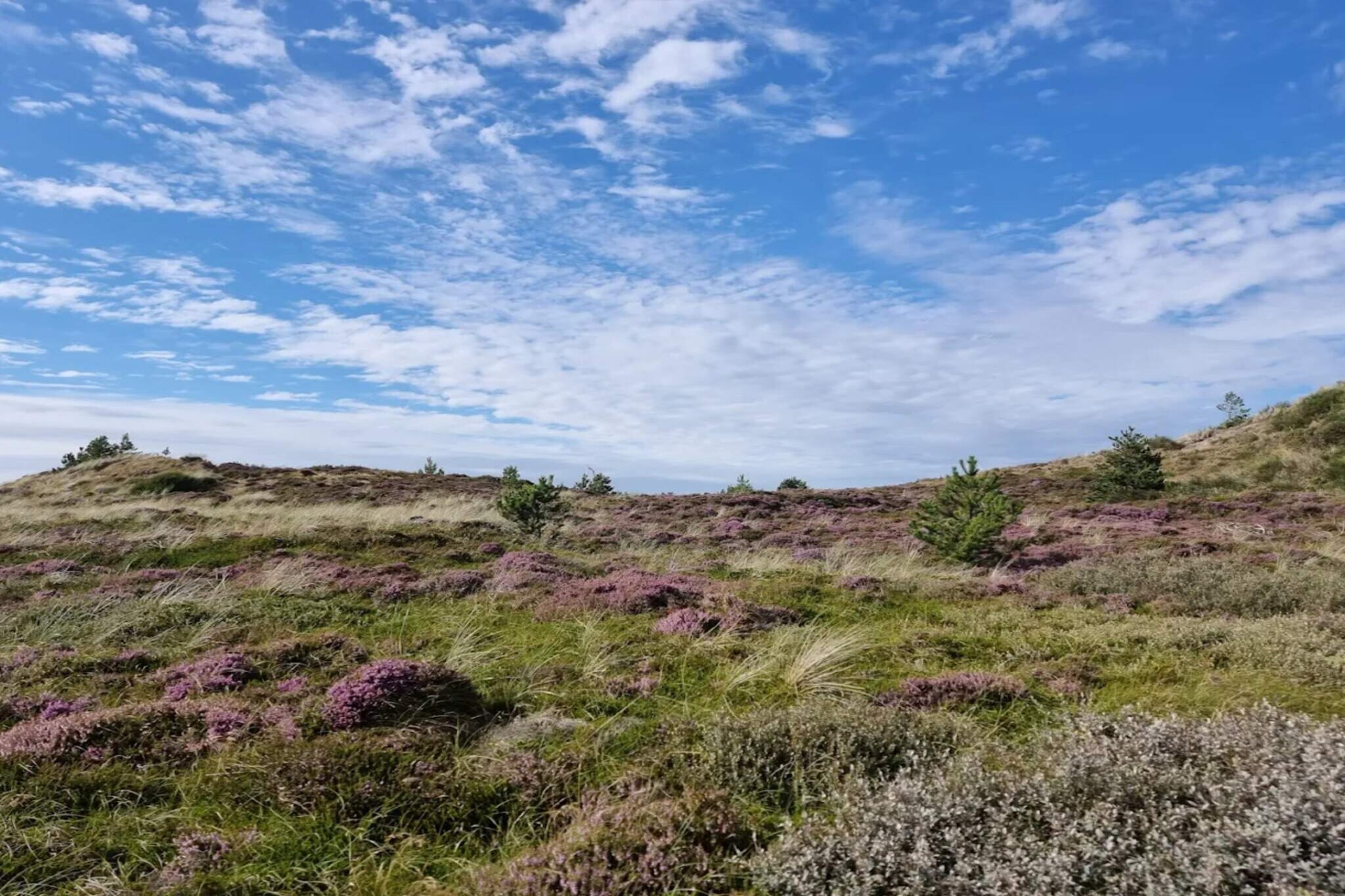 6 persoons vakantie huis in Henne-By Traum-Niet-getagd