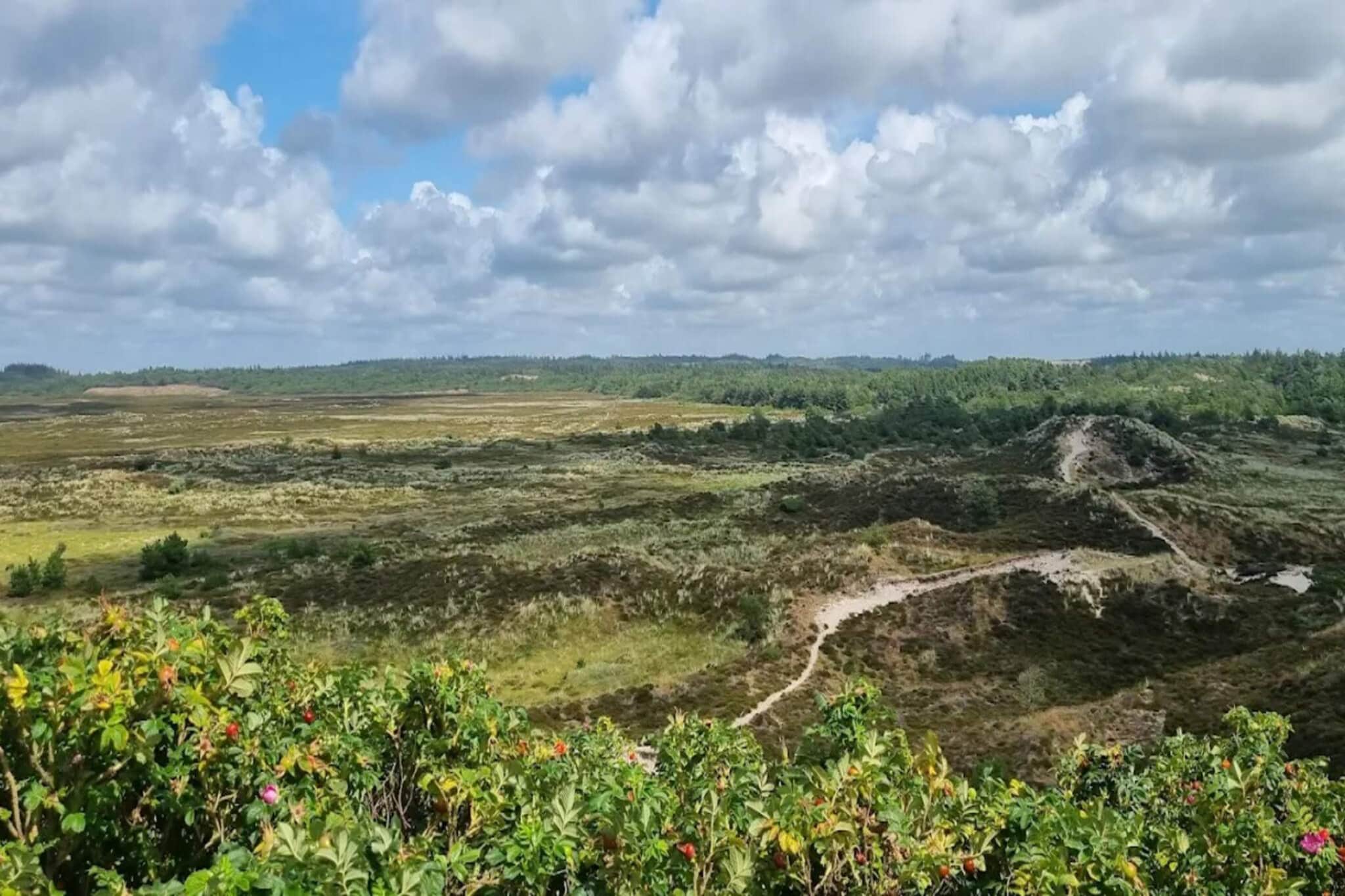 6 persoons vakantie huis in Henne-By Traum-Niet-getagd