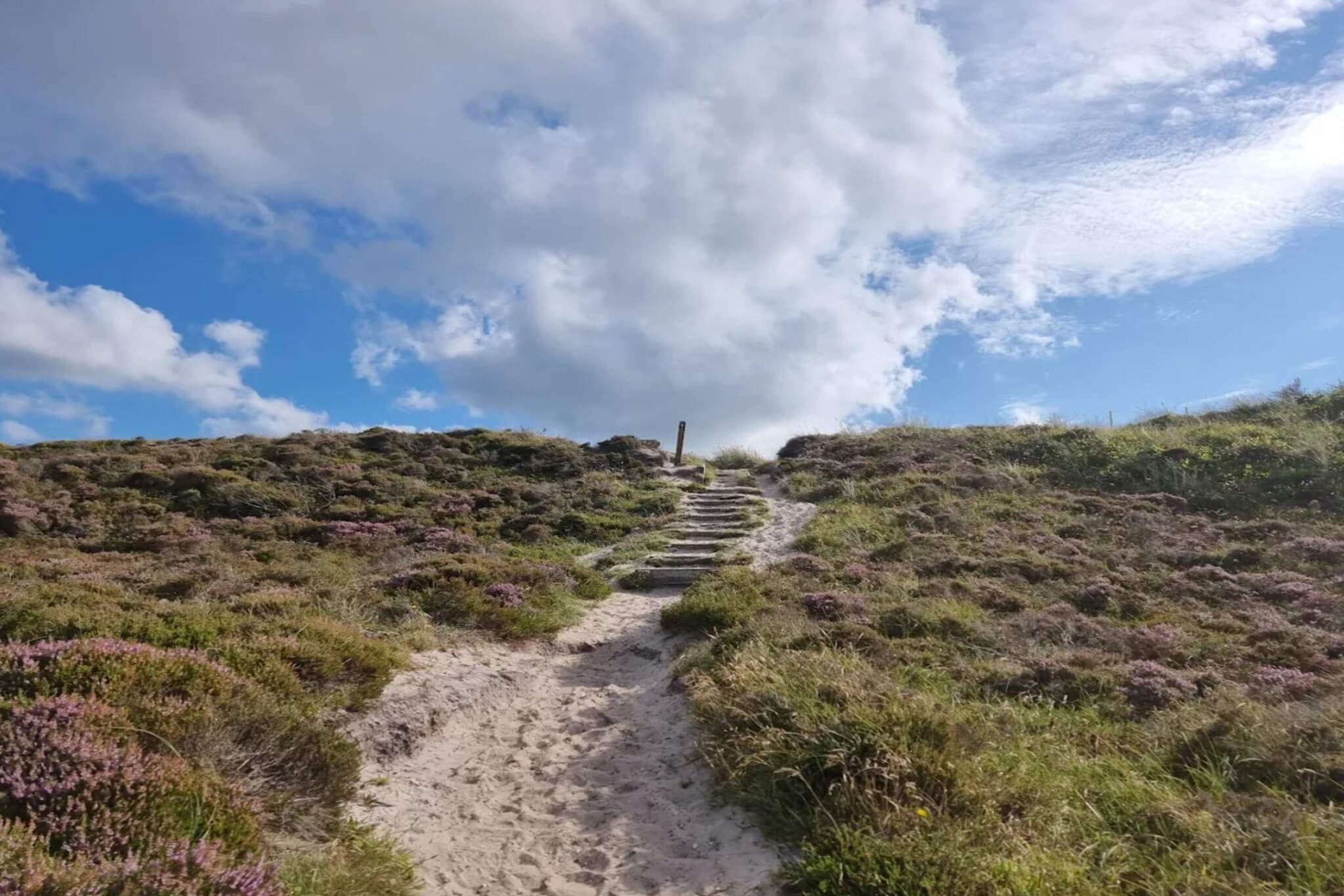 6 persoons vakantie huis in Henne-By Traum-Niet-getagd