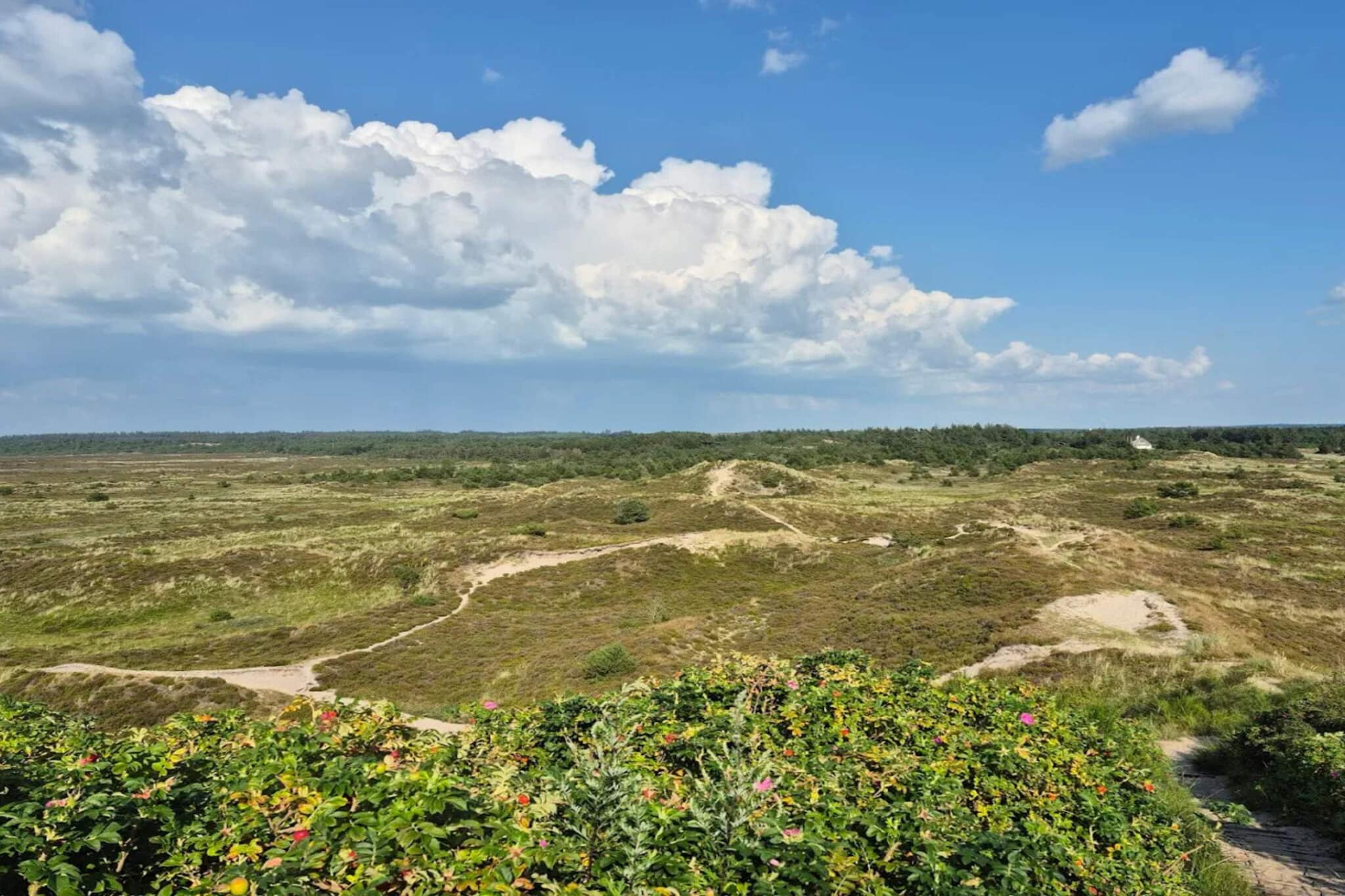 6 persoons vakantie huis in Henne-By Traum-Niet-getagd