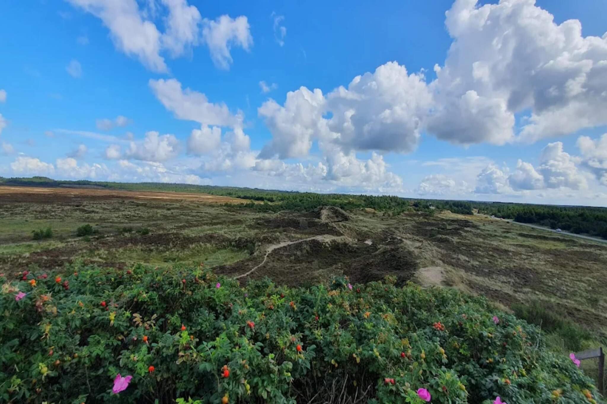 6 persoons vakantie huis in Henne-By Traum-Niet-getagd