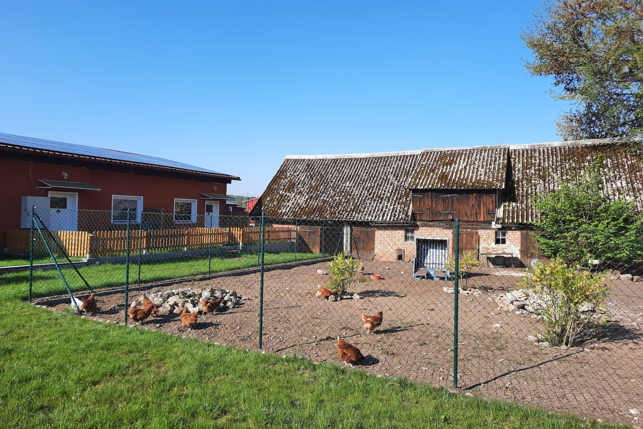 Bungalow 5  Malchow-Zones d'été à 1 km