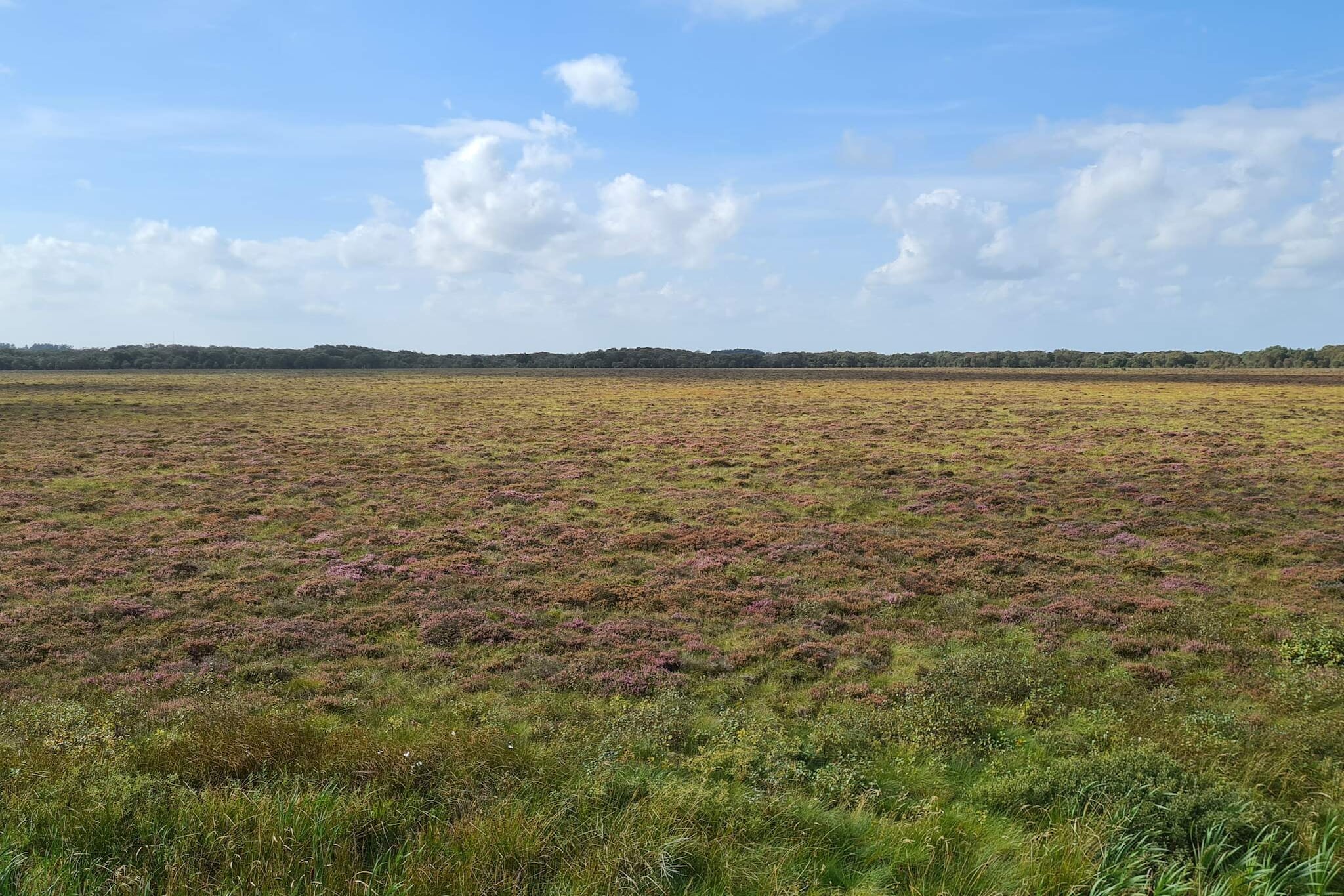 Rustieke boerderij uitje -- By Traum Ferienwohnungen-Niet-getagd
