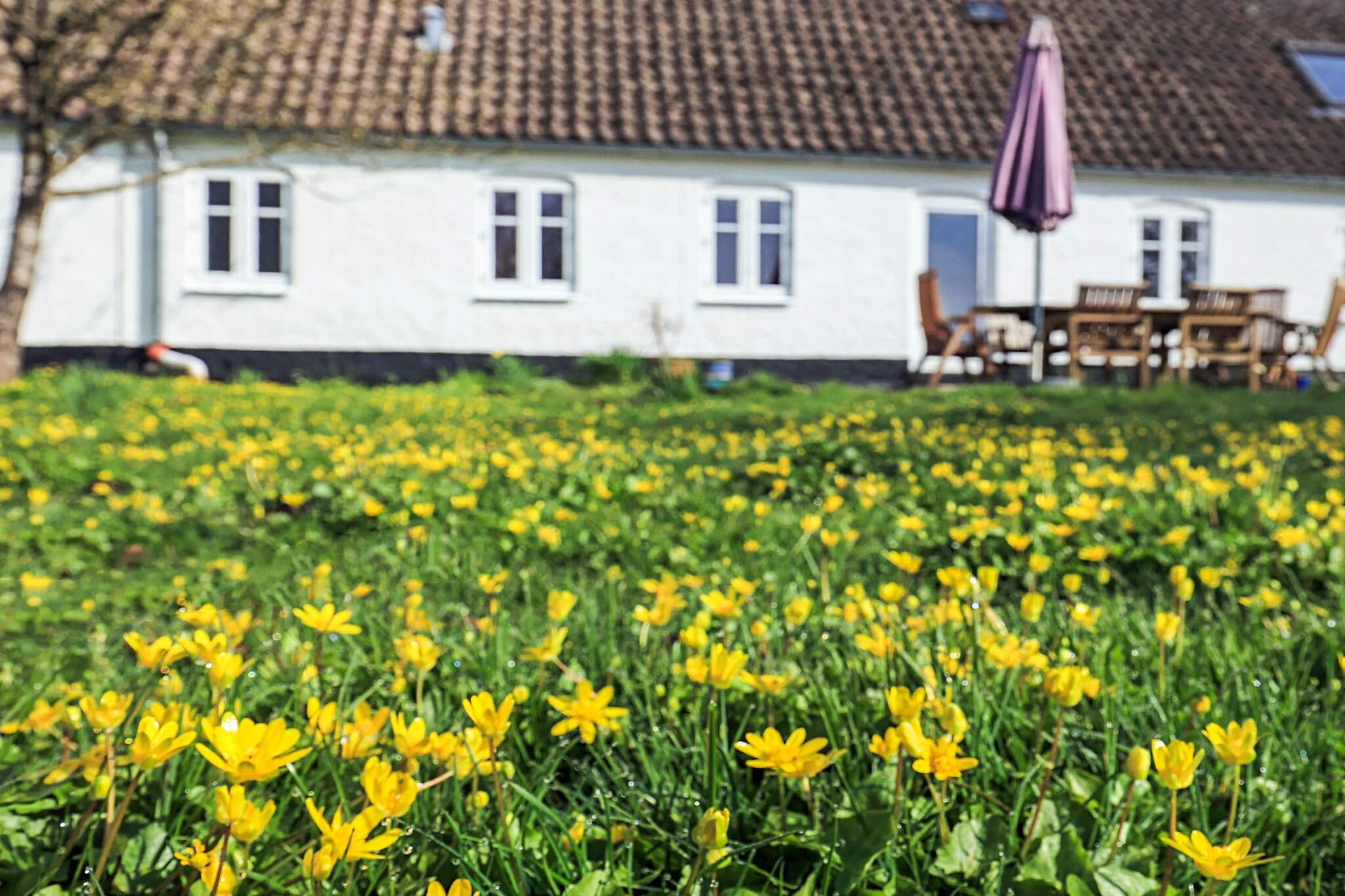 Rustiek huisje met open haard - Uitzicht