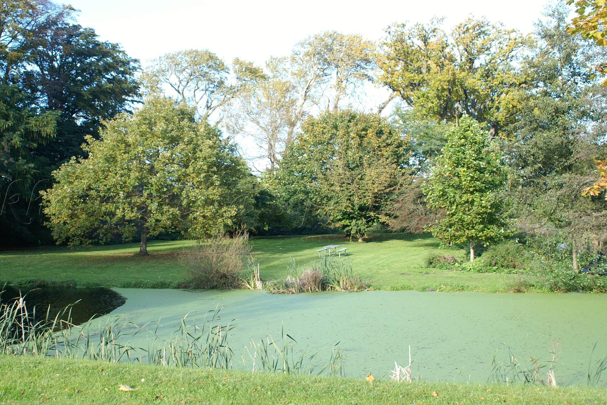6 Personen Ferienhaus in Rudkøbing-By Traum-Wasserblick