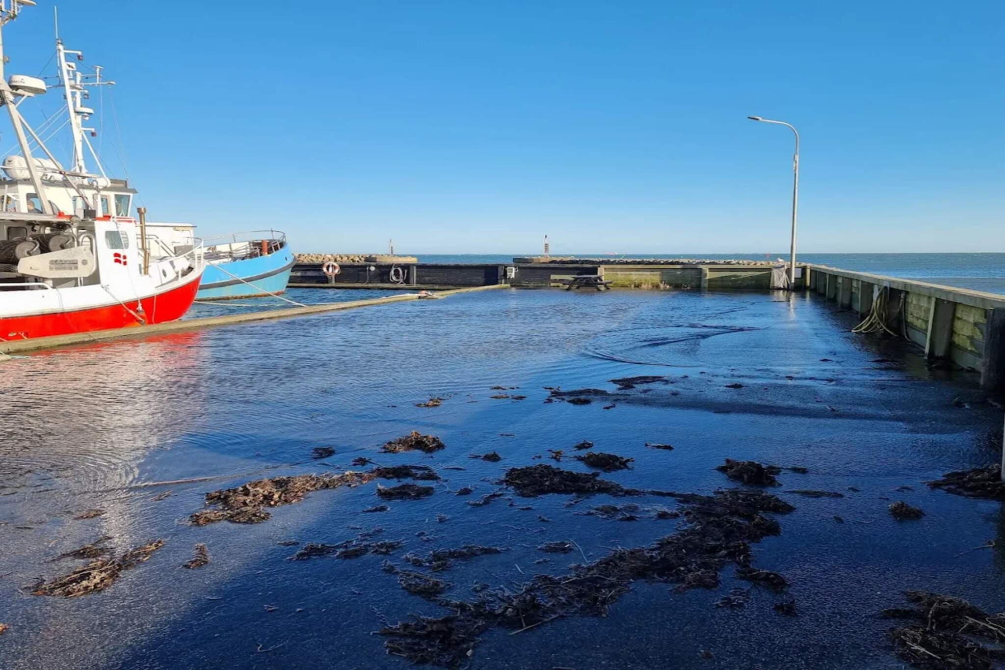 8 persoons vakantie huis in Ålbæk-Waterzicht