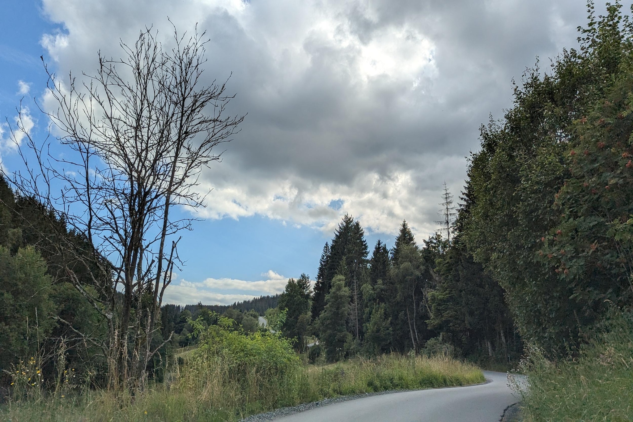 Am Waltenberg 70-MG-Gebieden zomer 5km