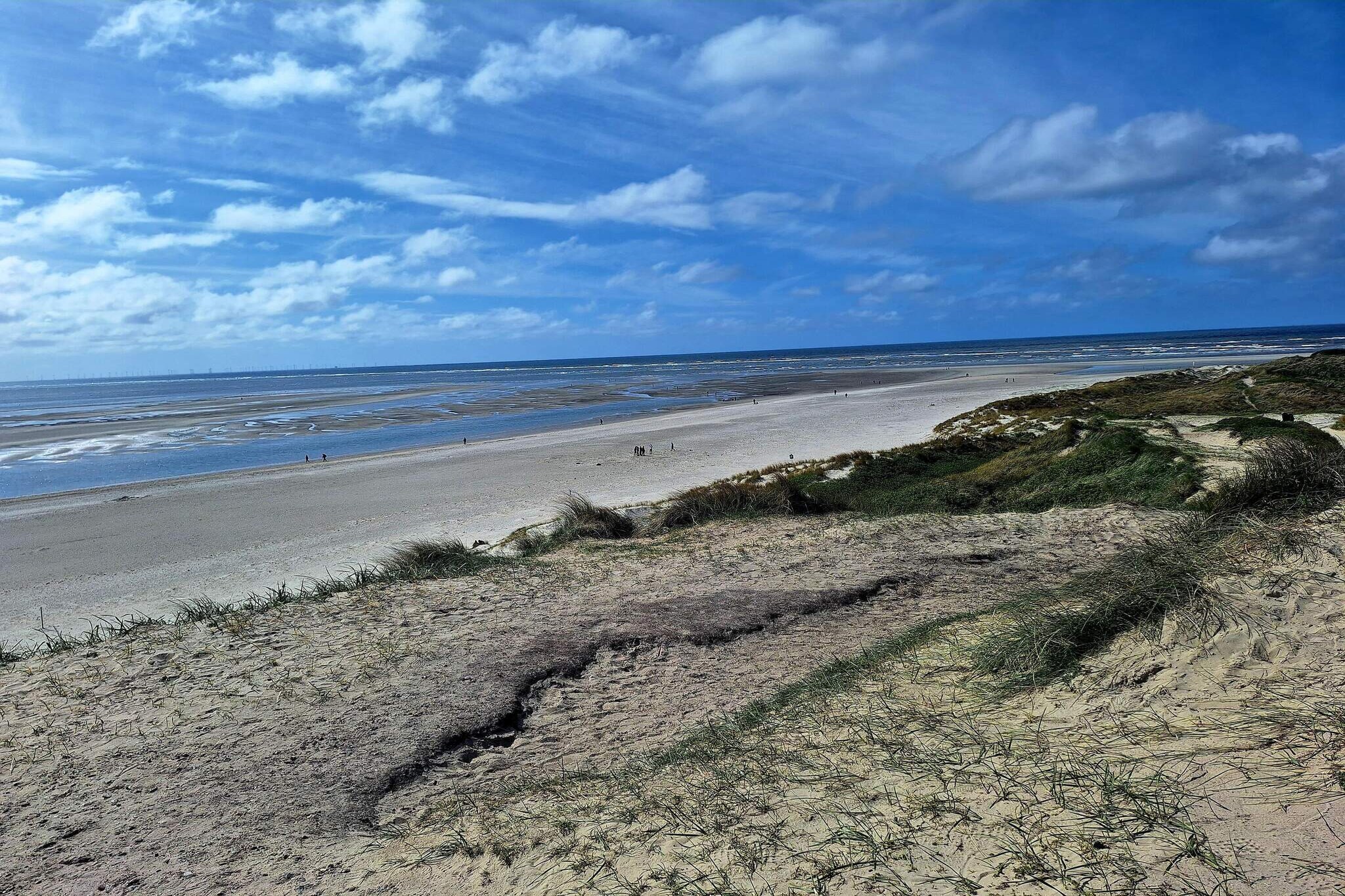 4 person holiday home in Blåvand