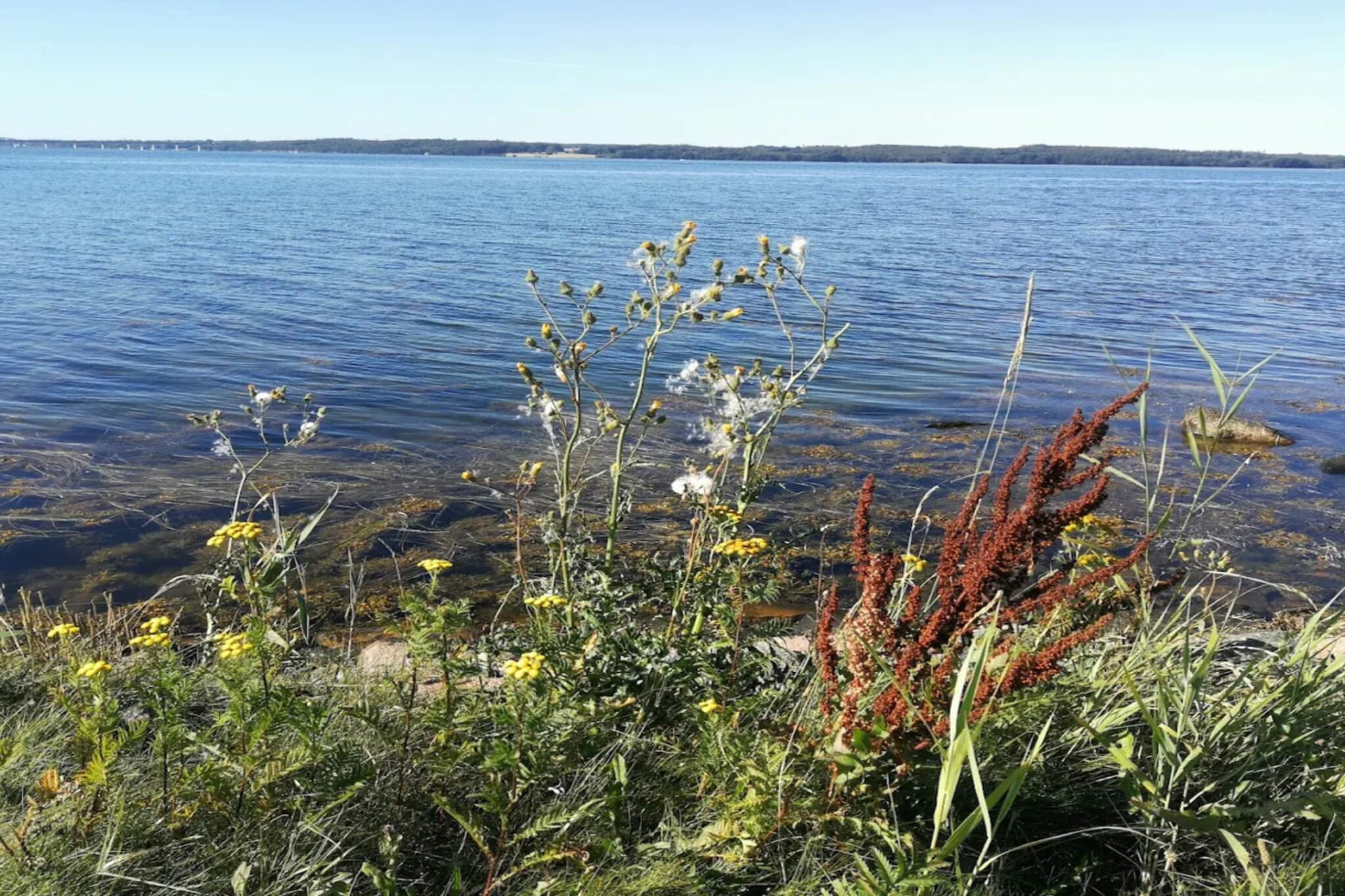 5 persoons vakantie huis in Bogø By-By Traum-Waterzicht