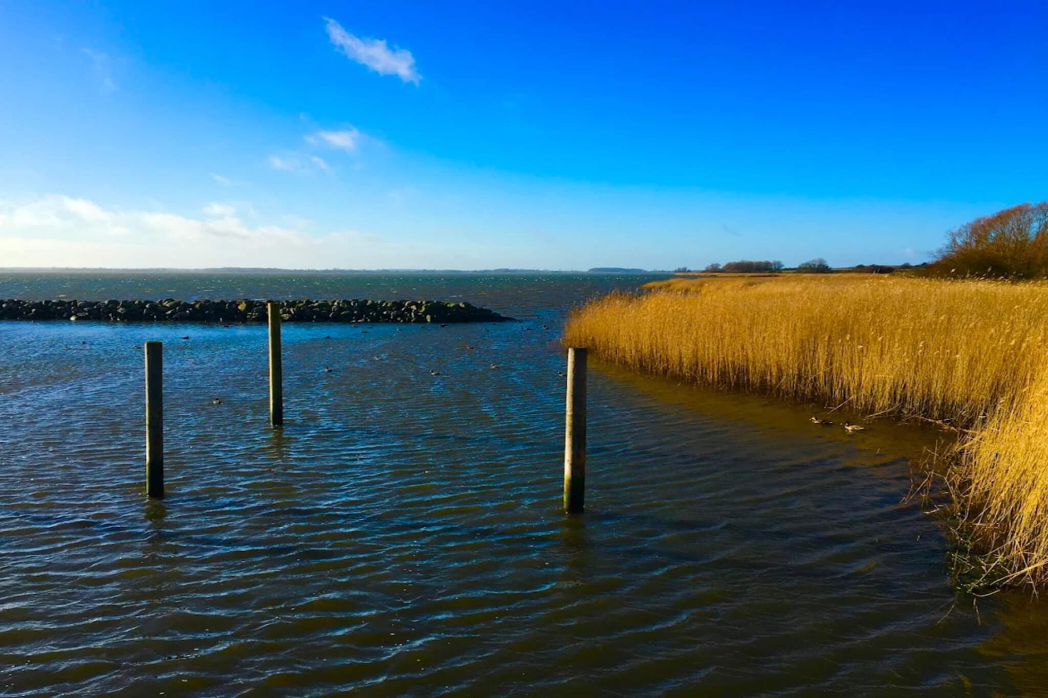 5 persoons vakantie huis in Bogø By-By Traum-Waterzicht