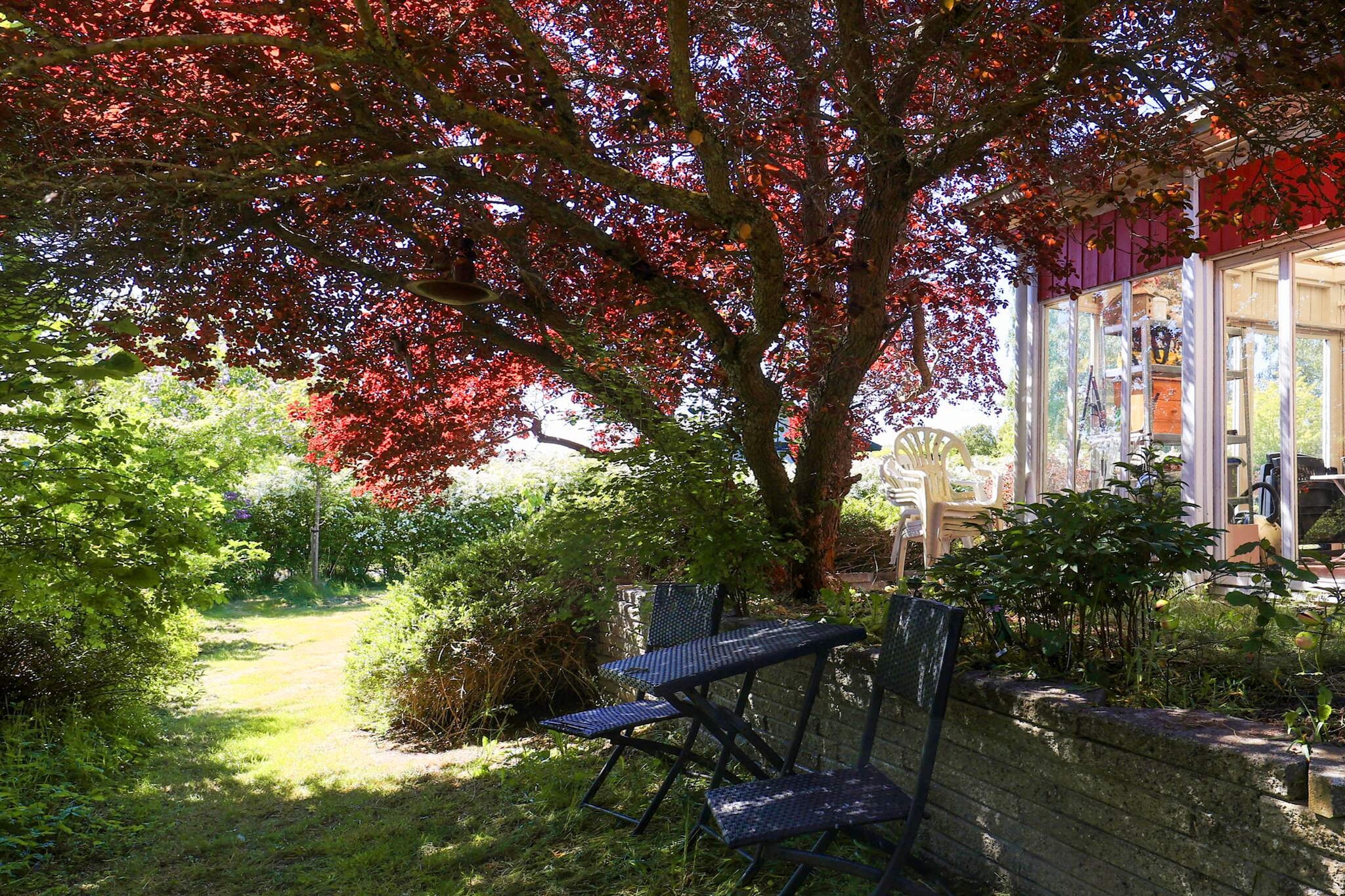 5 persoons vakantie huis in Bogø By-By Traum - Uitzicht