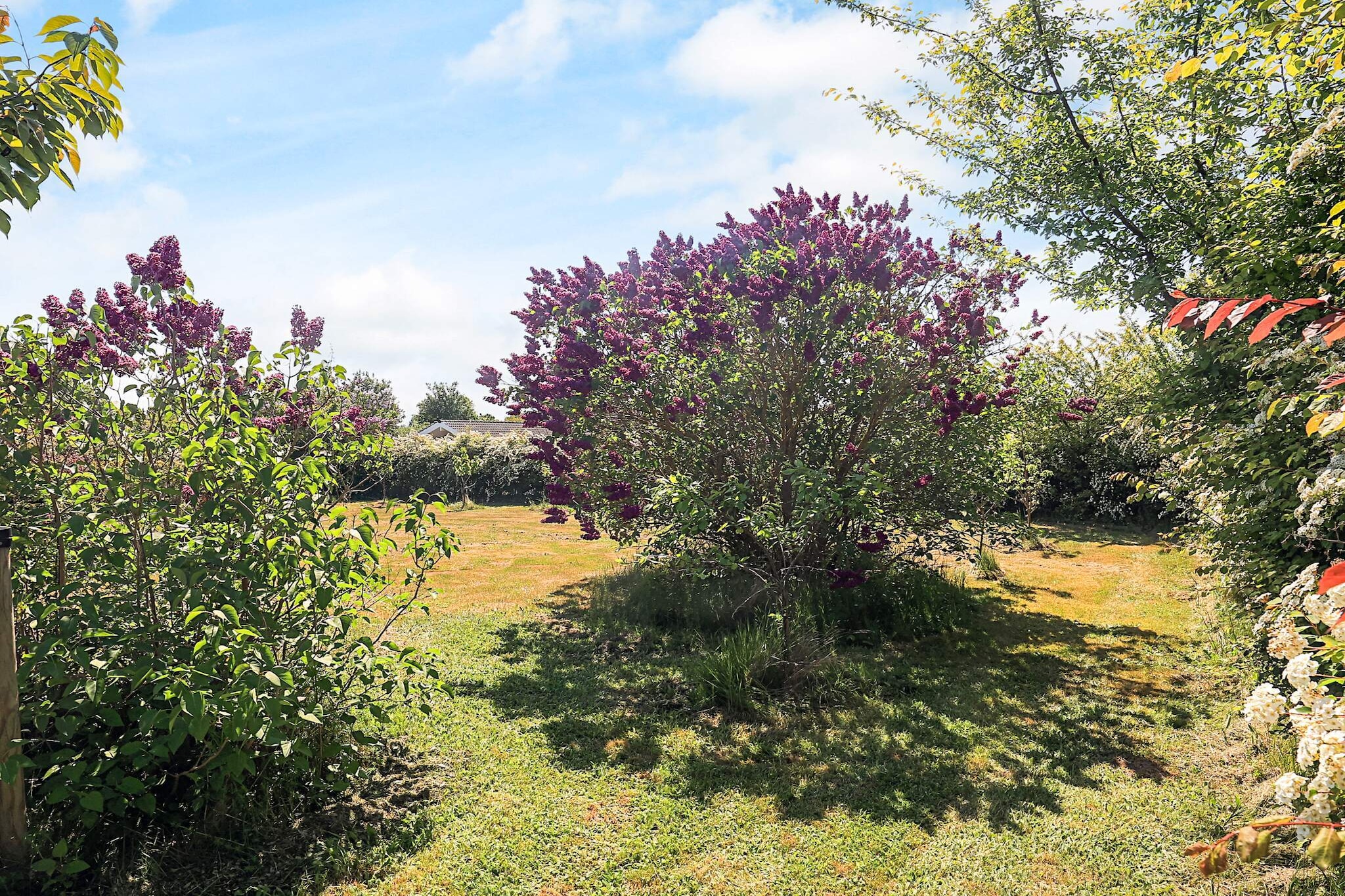 5 persoons vakantie huis in Bogø By-By Traum - Uitzicht