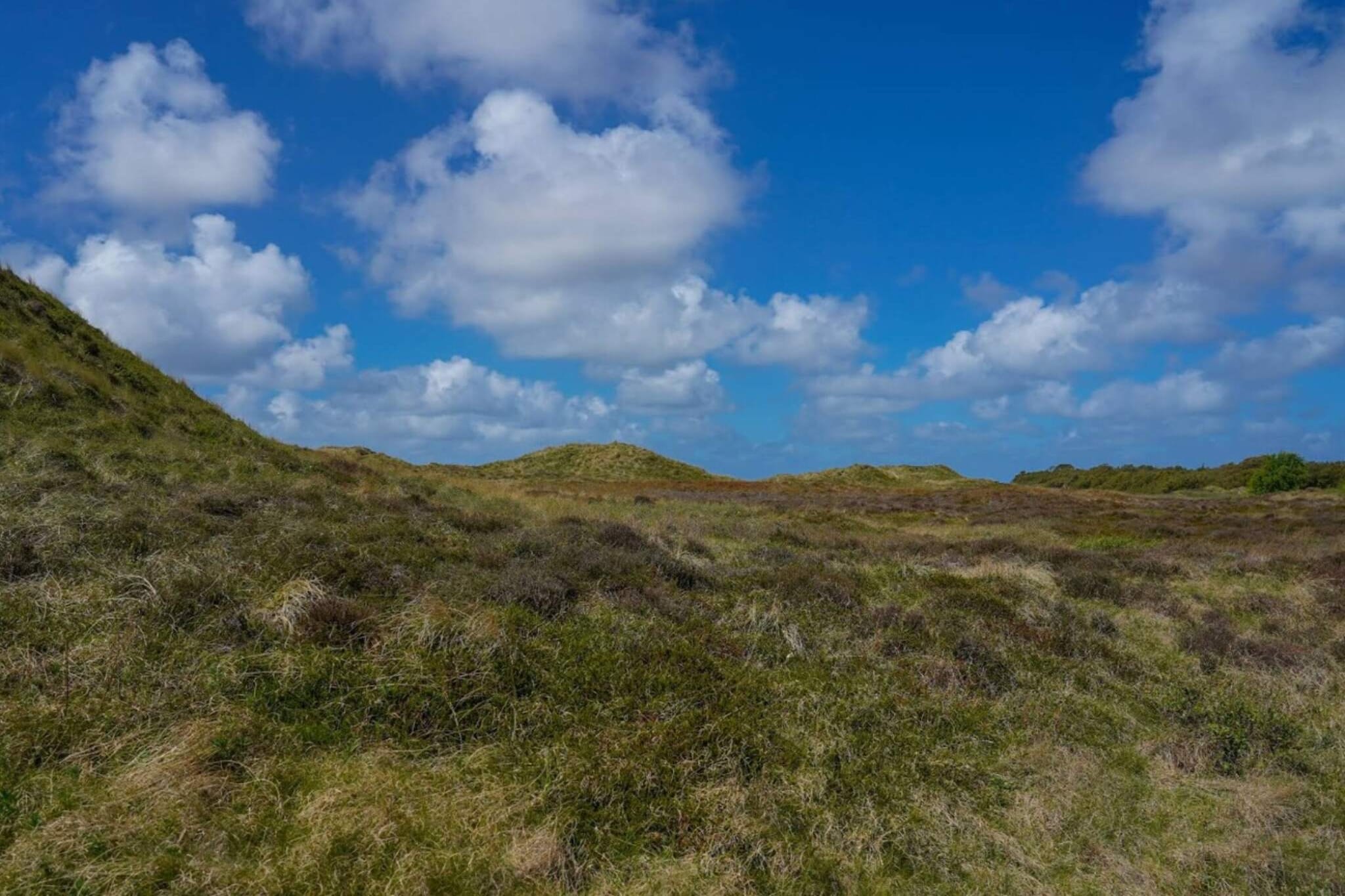 6 persoons vakantie huis in Rømø-By Traum - Niet-getagd