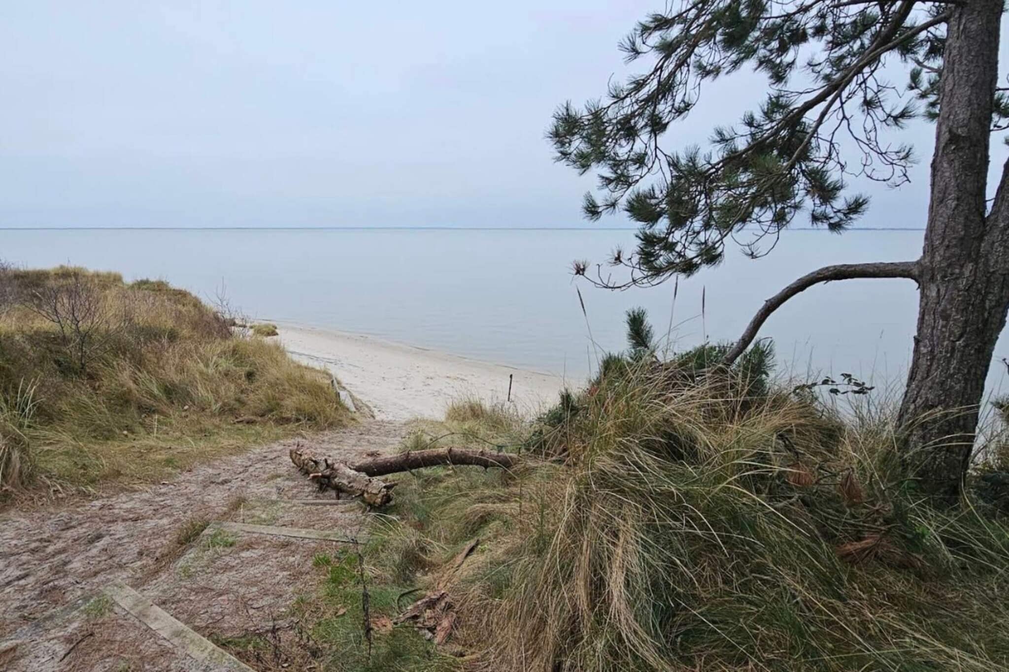6 persoons vakantie huis in Rømø-By Traum - Niet-getagd
