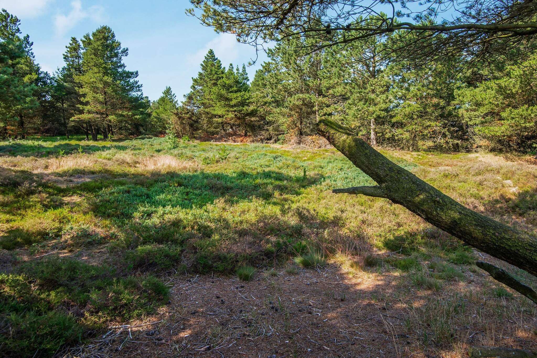 6 persoons vakantie huis in Rømø-By Traum - Uitzicht