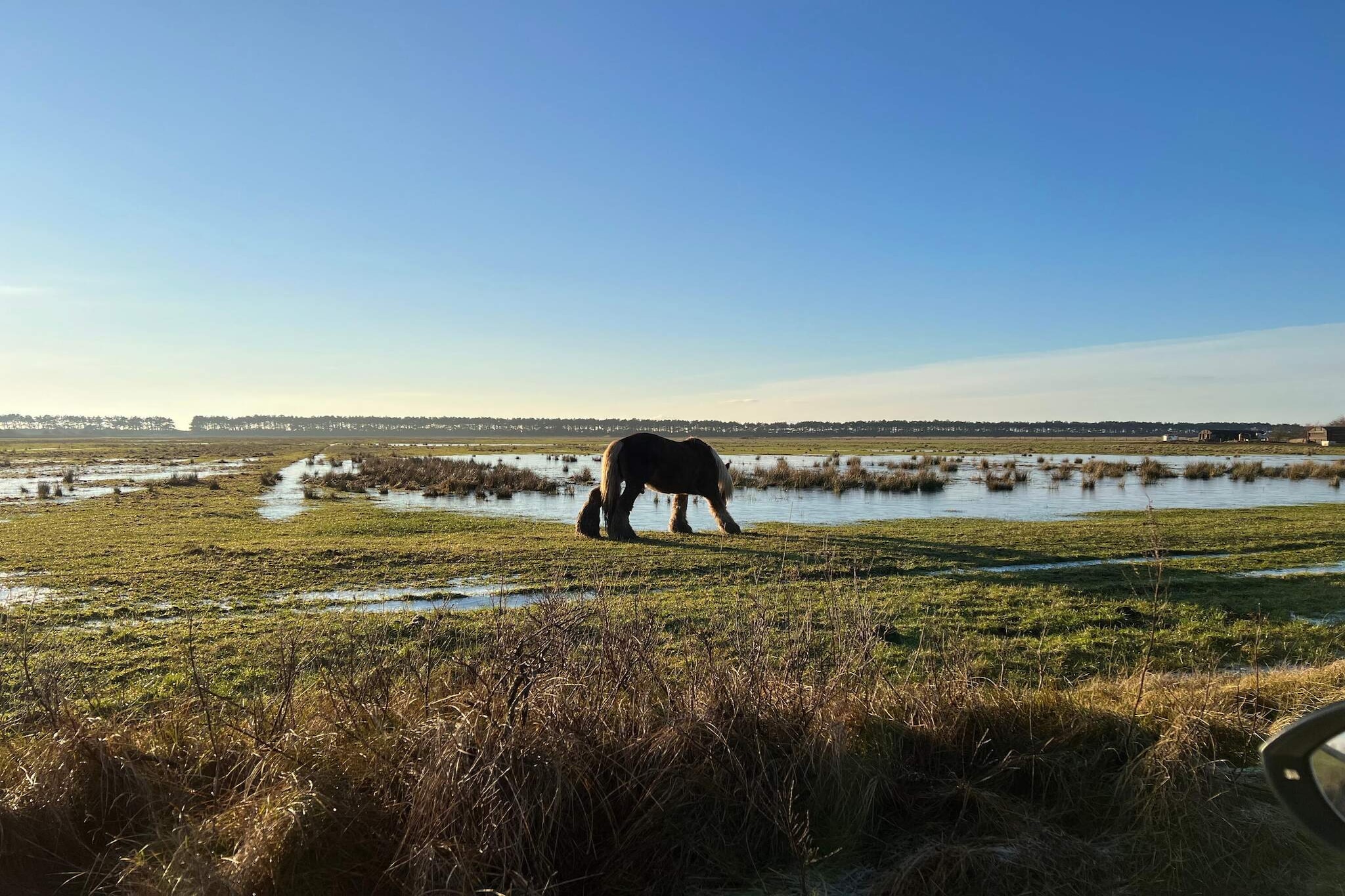 Maison de vacances pour 6 a Rømø-By Traum-Vue sur l'eau