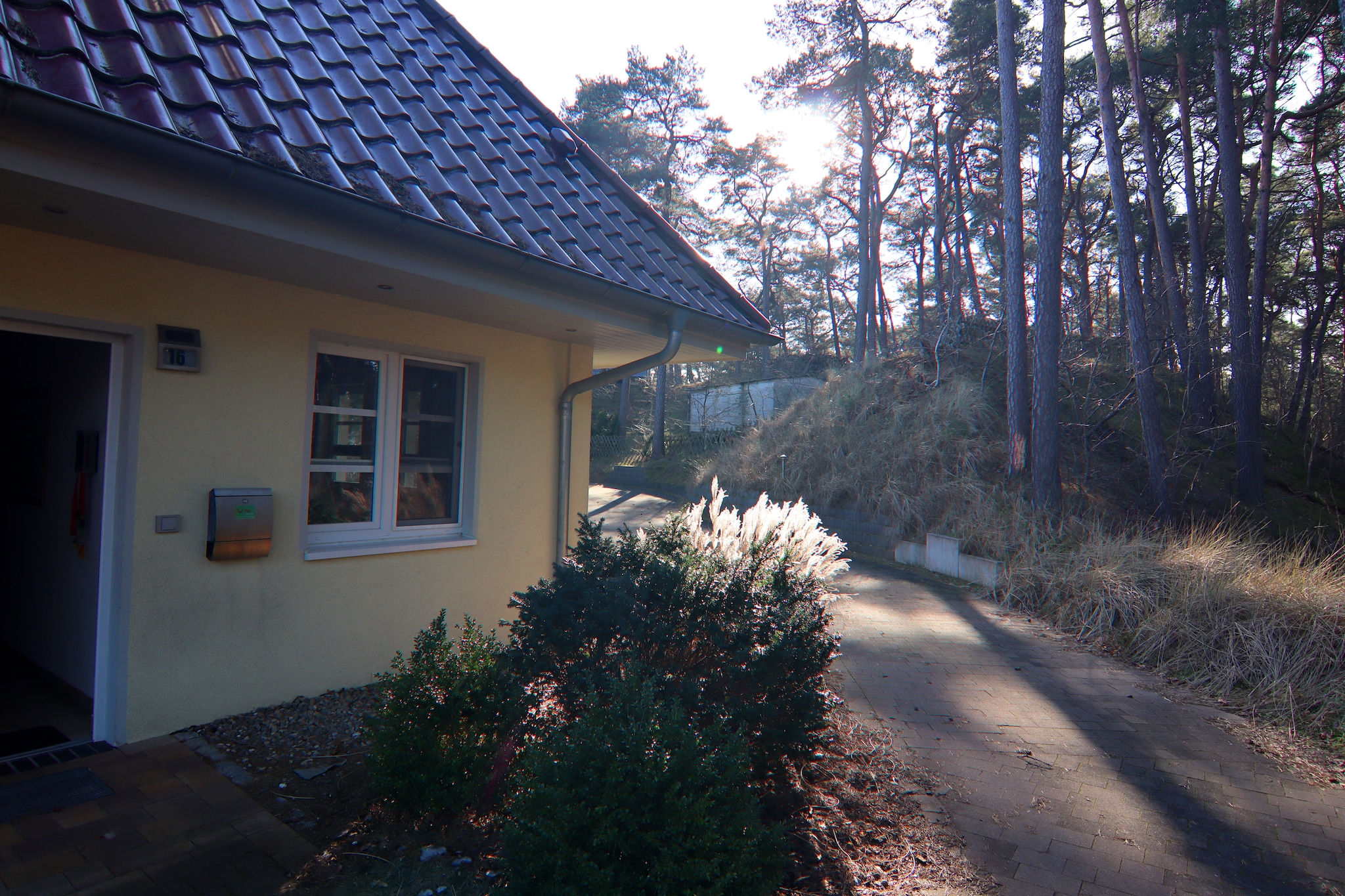 Reihenhaus Dünenwaldhaus in Trassenheide