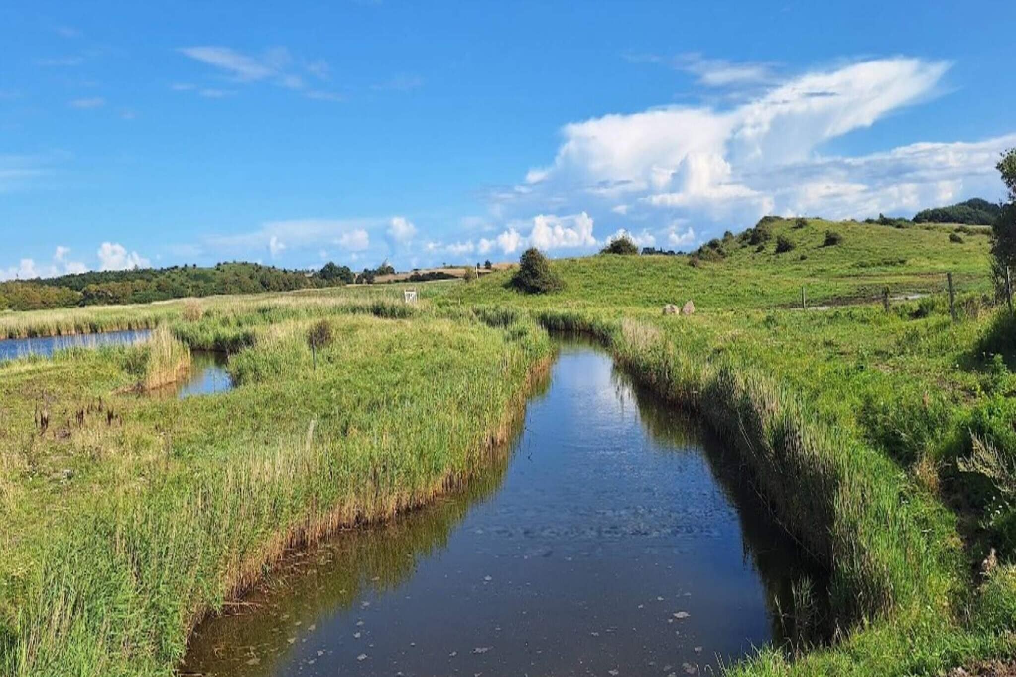 5 persoons vakantie huis in Hejls-By Traum-Buitenlucht