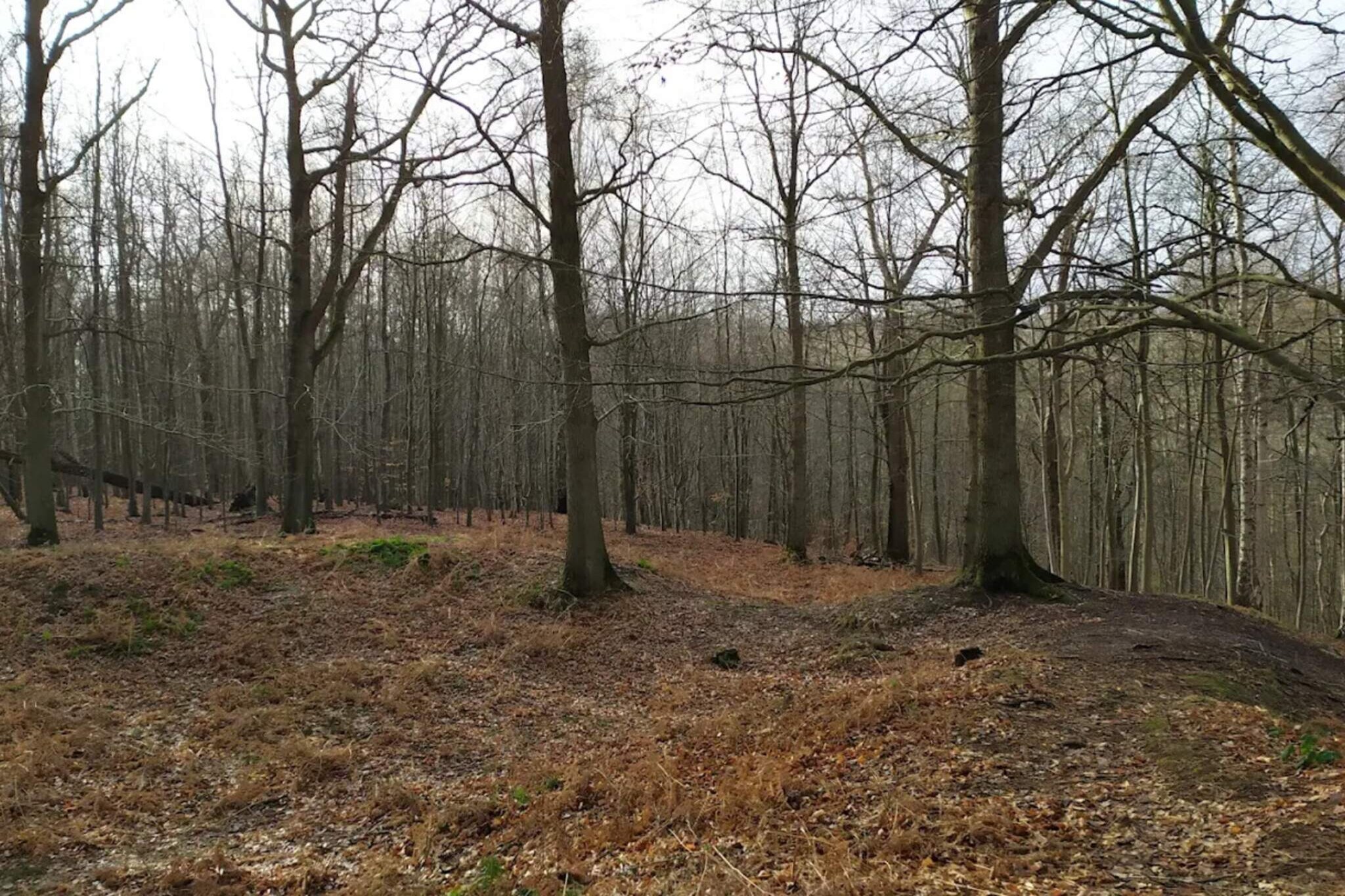 8 persoons vakantie huis in Juelsminde-By Traum